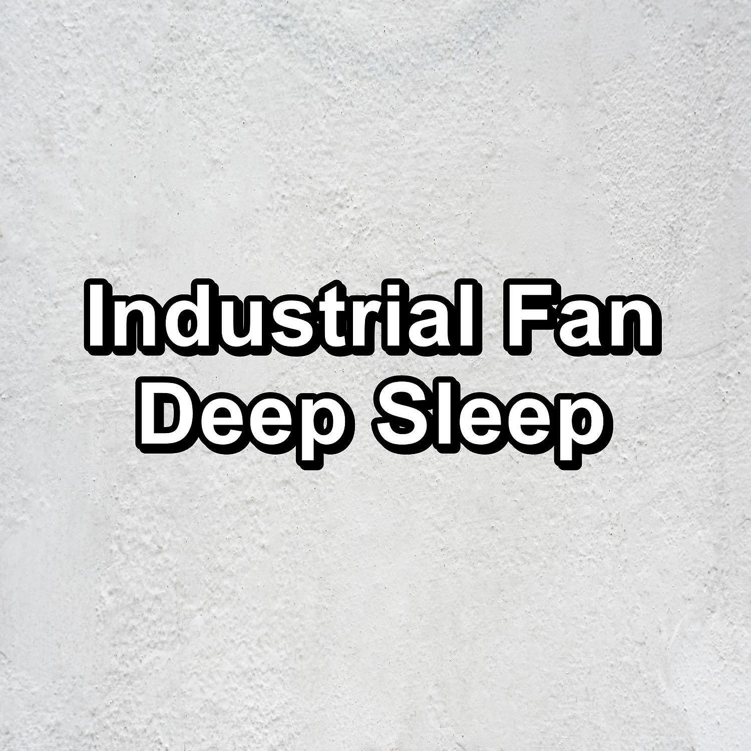 Nature and Rain - Soft White Noise Sleep Therapy Loopable for 8 Hours