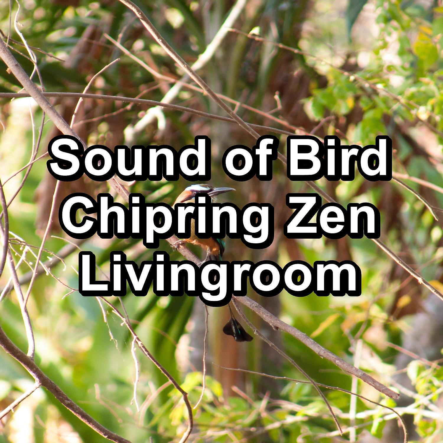 The Yoga Studio - Nature Sounds For a Bright Day Best Loopable Sound
