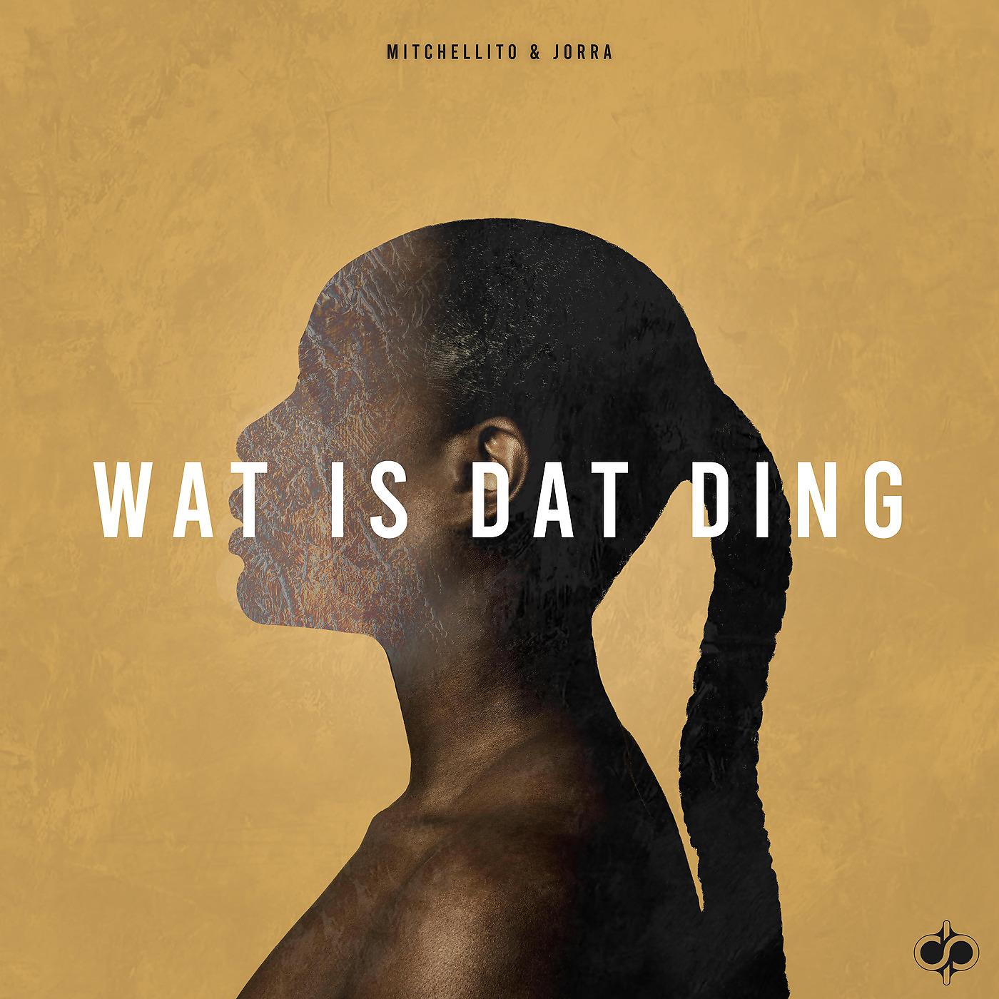 Постер альбома Wat Is Dat Ding