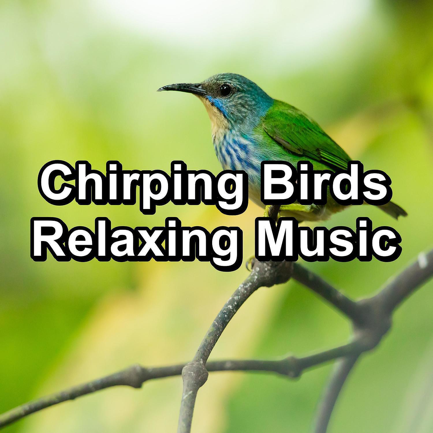 Ocean Waves for Deep Sleep - Calm Bird Sounds For a Cozy Living Room For Babies
