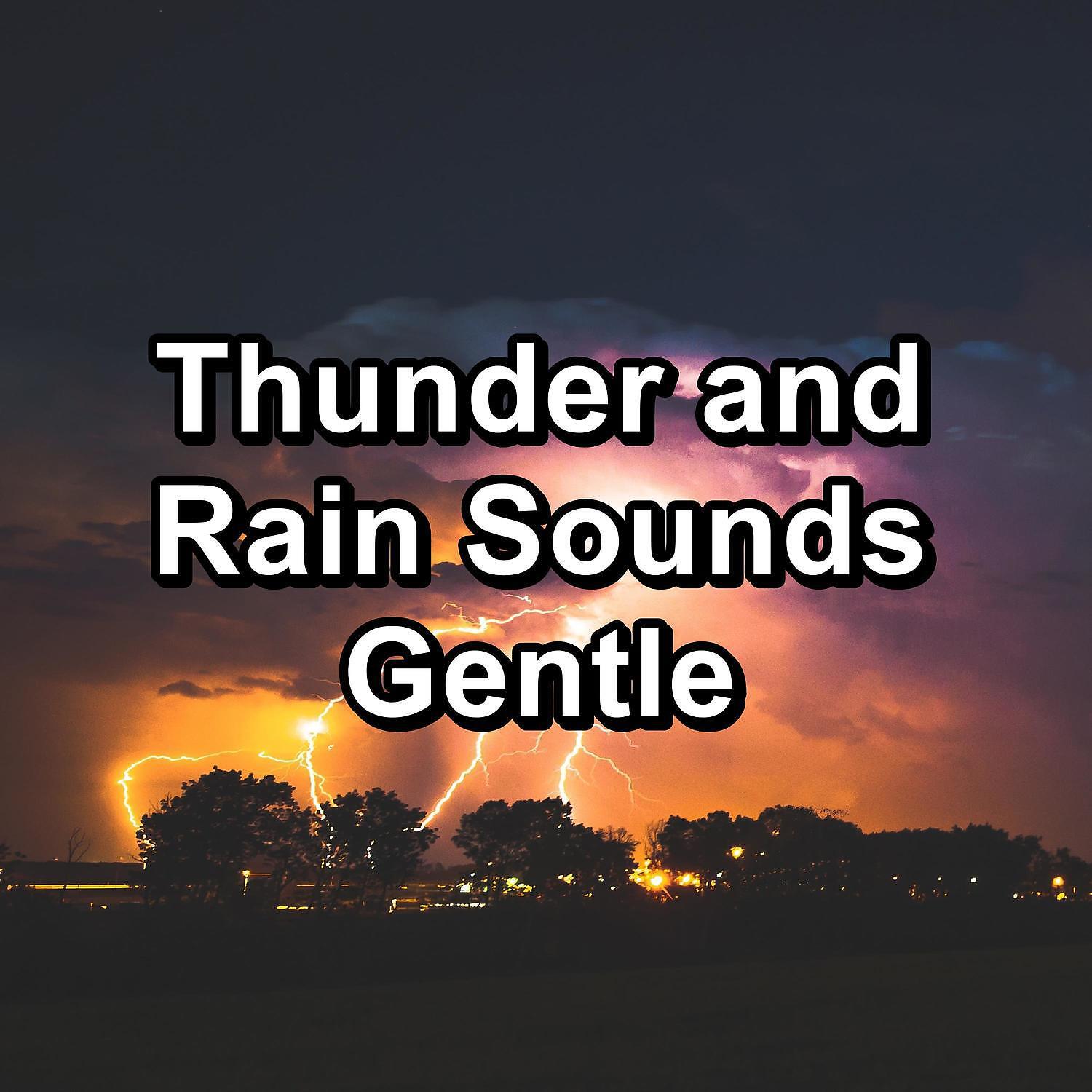 Rain Meditation - Relaxing Rain and Nature Sounds To Repeat for 10 Hours