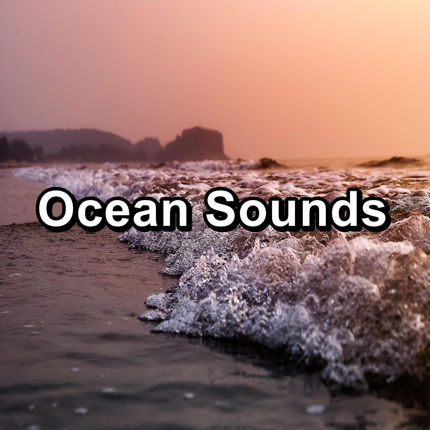 Ocean Sounds Collection - Soft Ocean The Best Water Sounds Help You and Your Baby Rest