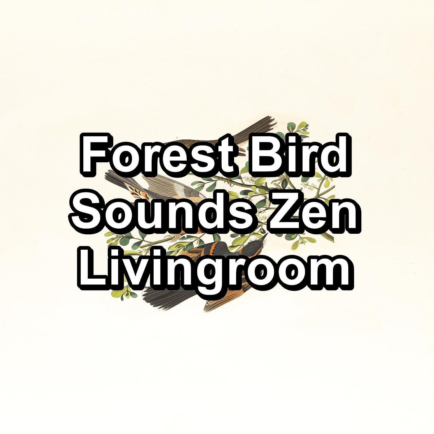 Bird Sound Collectors - Rest Bird Sounds Anti Stress Loopable