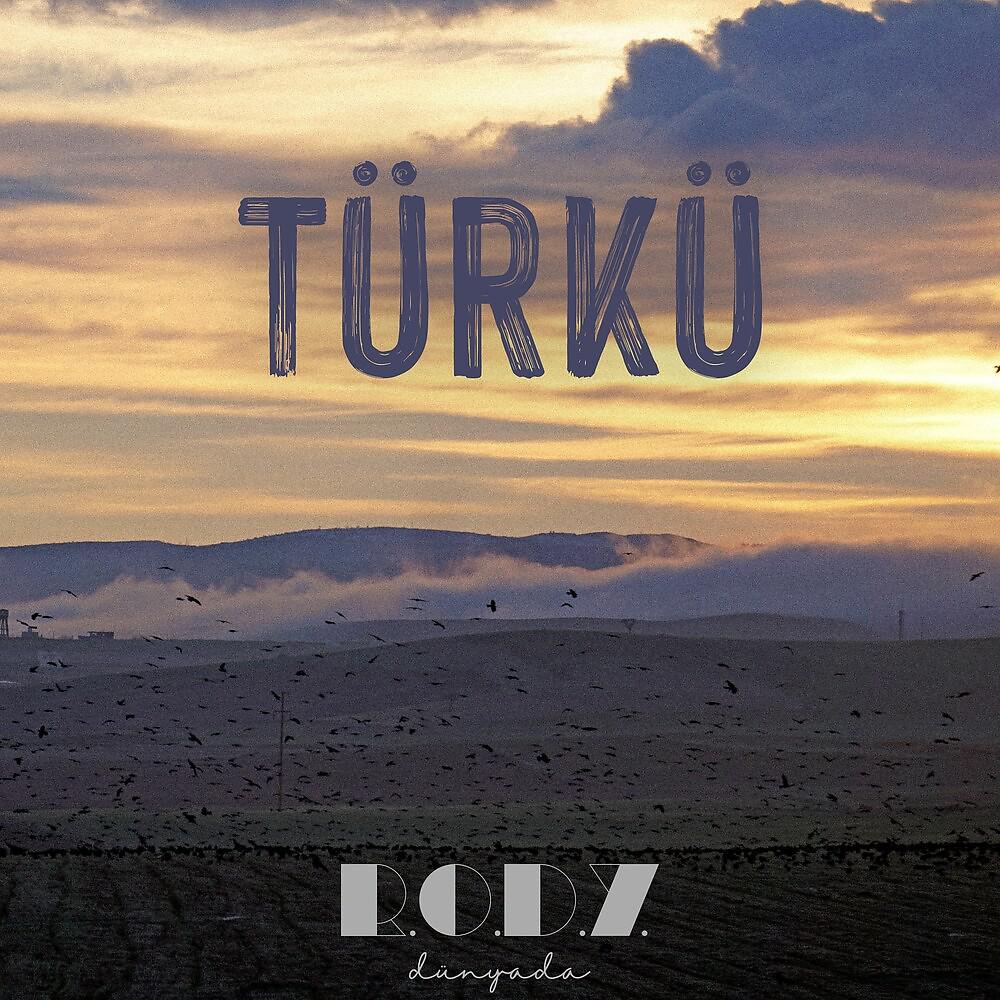 Постер альбома Türkü