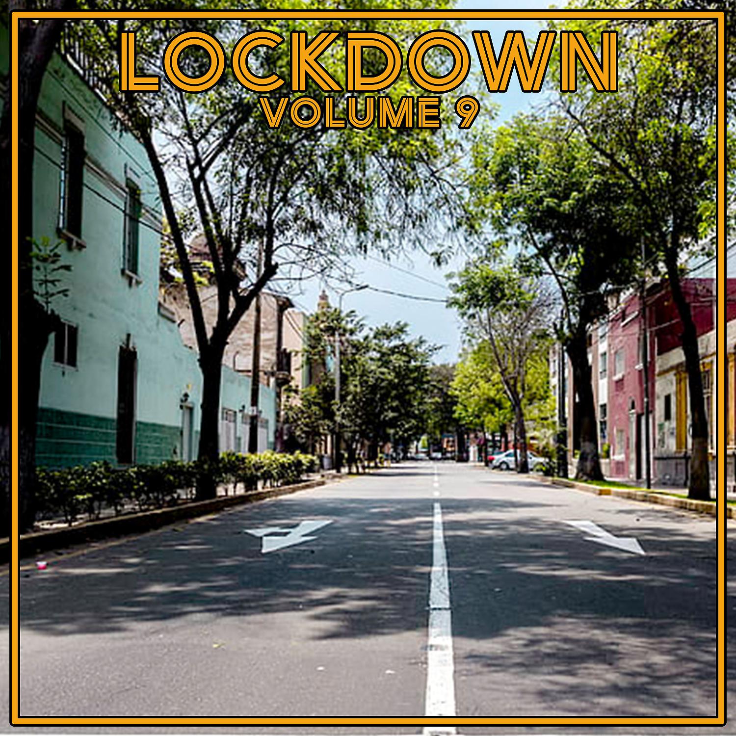 Постер альбома Lock Down Vol. 9