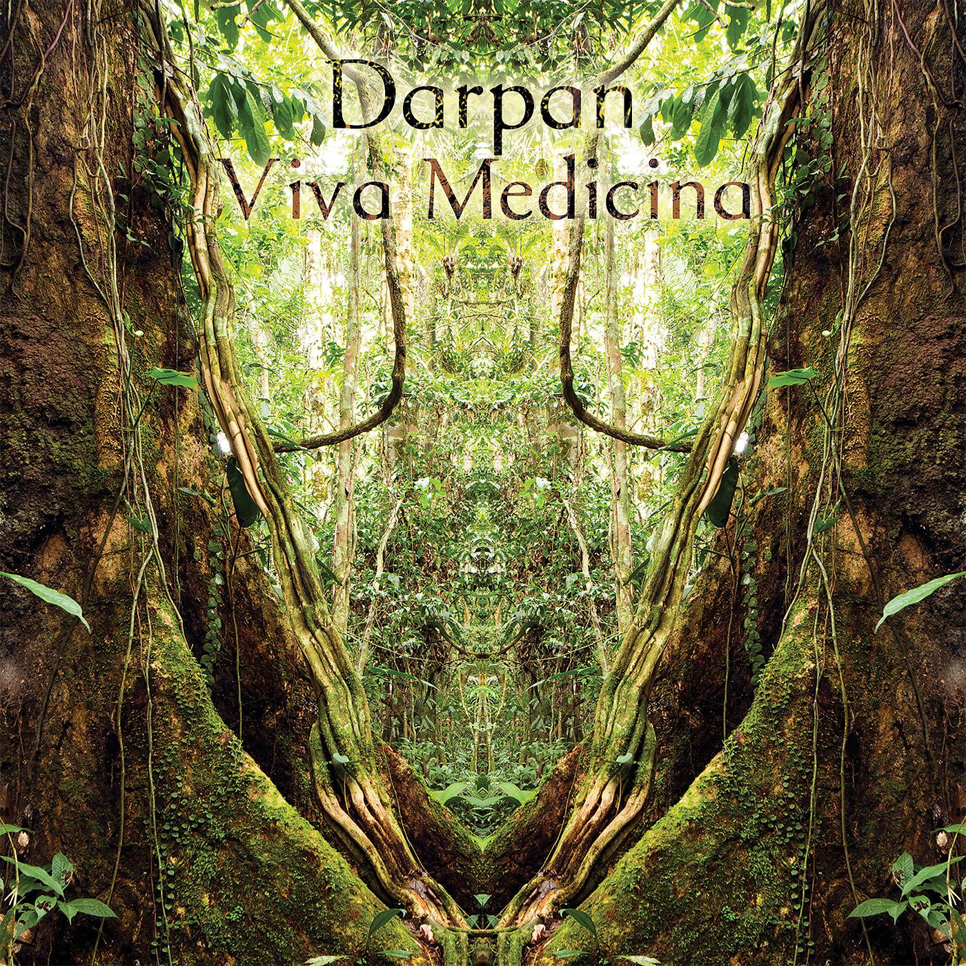 Постер альбома Viva Medicina