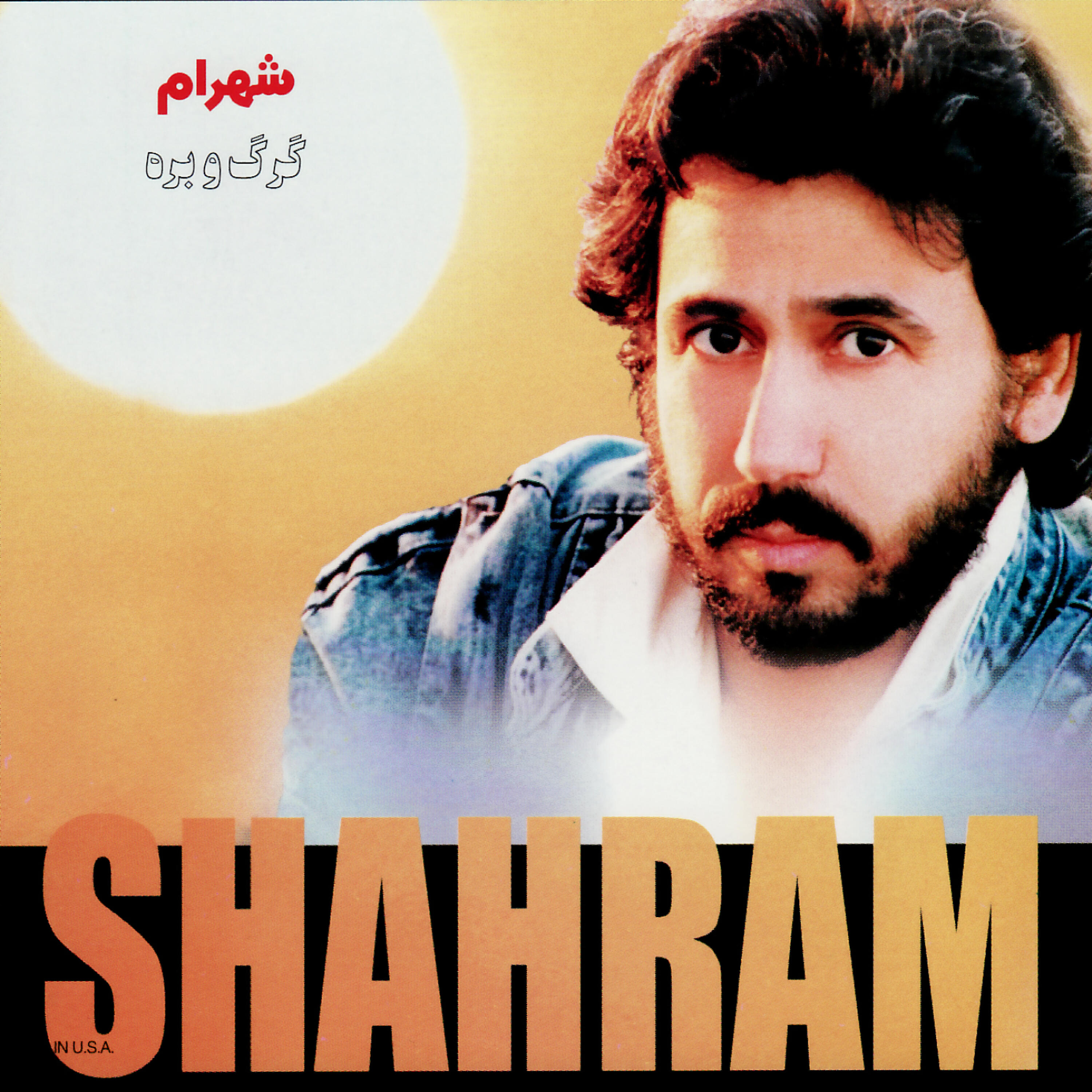 Shahram Shabpareh - Leila