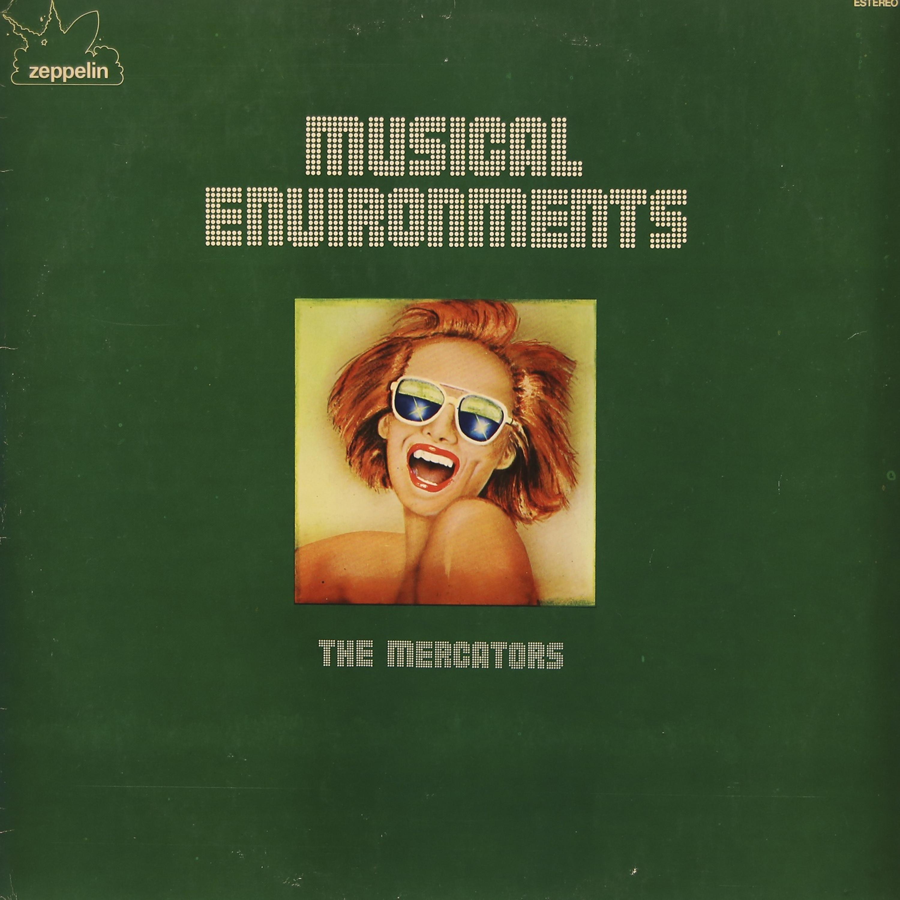 Постер альбома Musical Environments