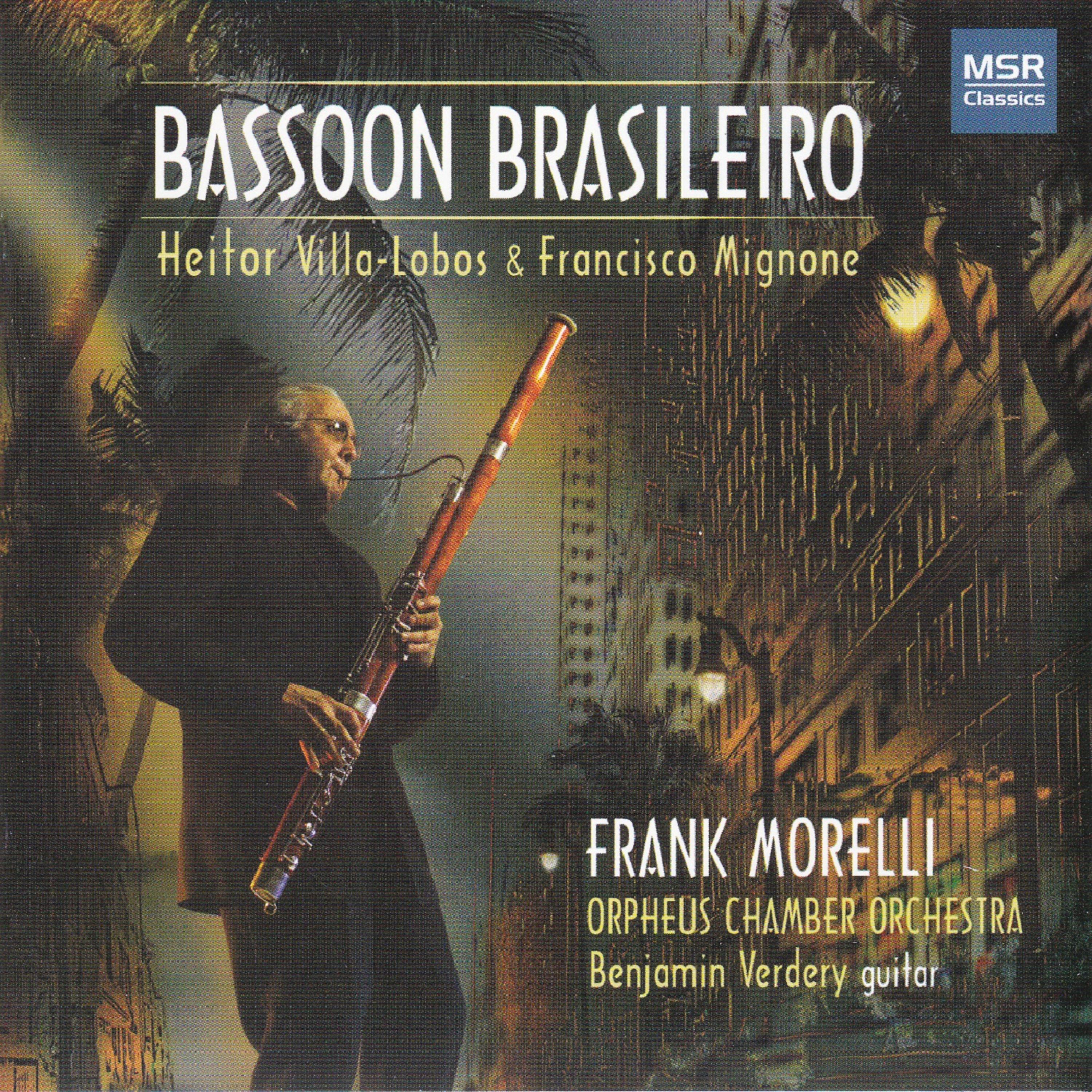 Постер альбома Bassoon Brasileiro