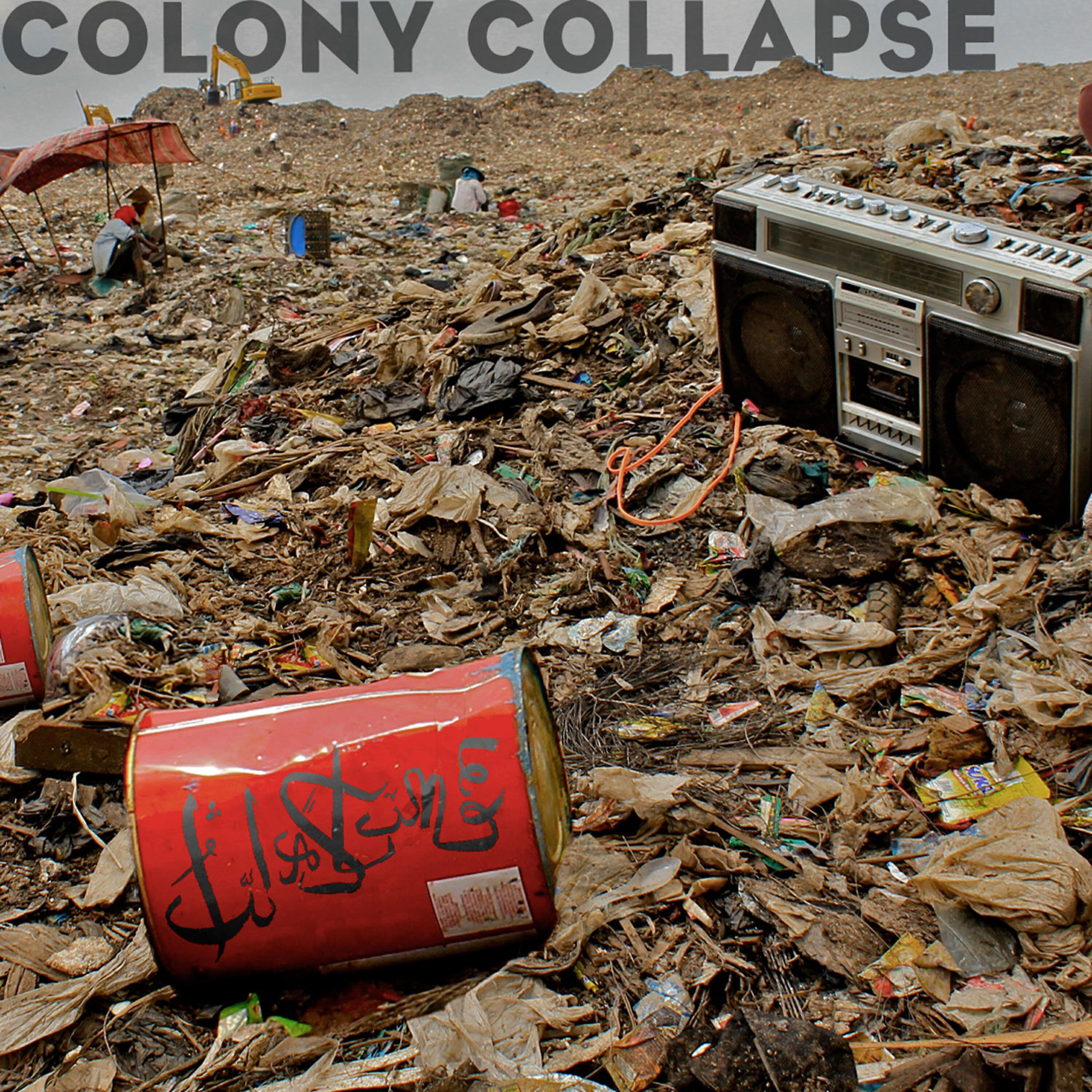 NOVA - Colony Collapse (Beats Antique remix)