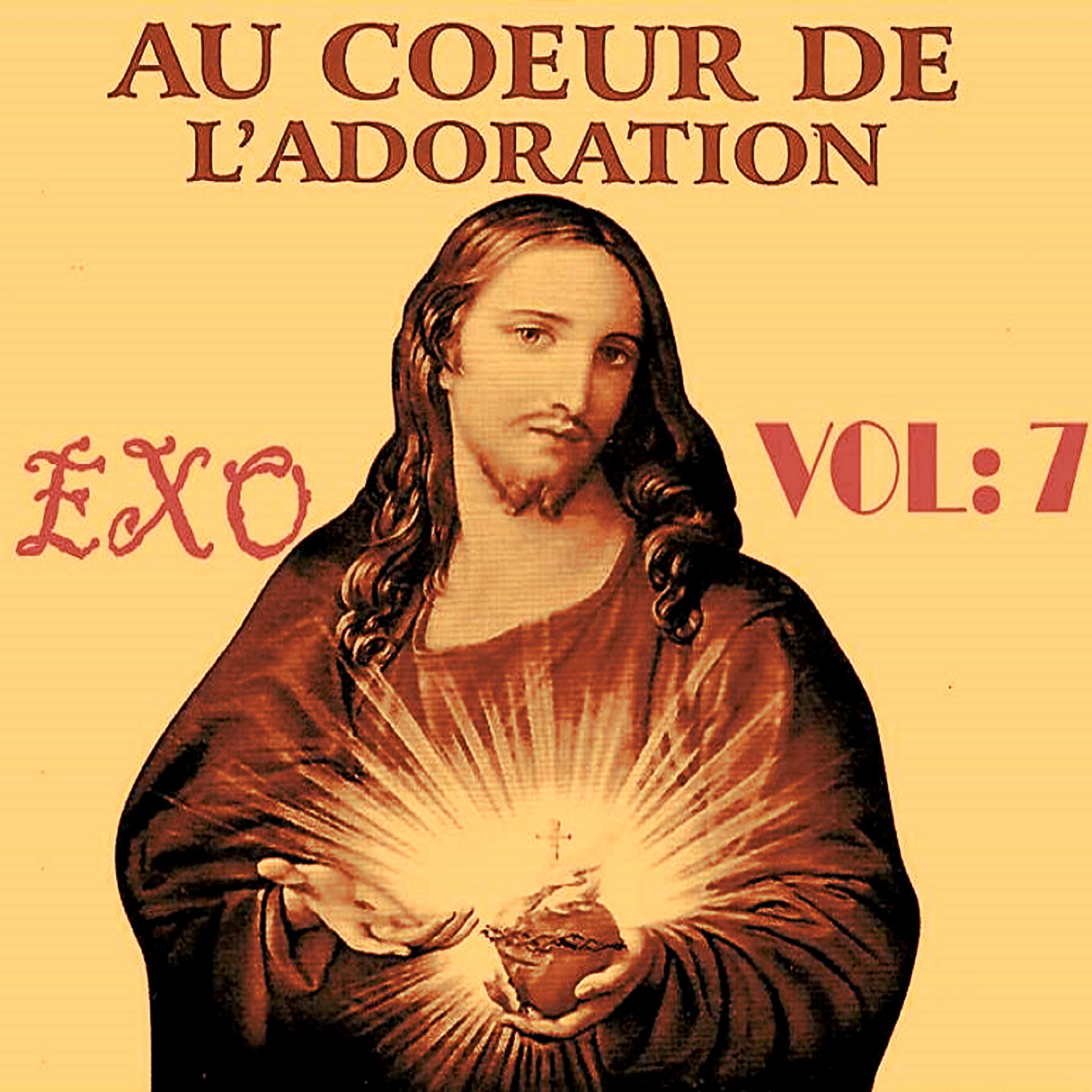 Постер альбома Au coeur de l'adoration, Vol. 7