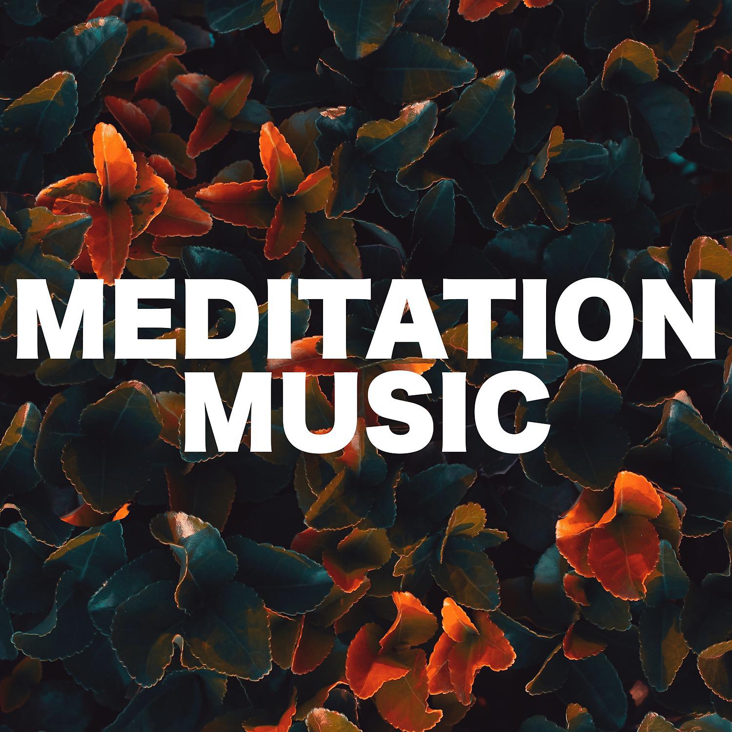Постер альбома Meditation Music