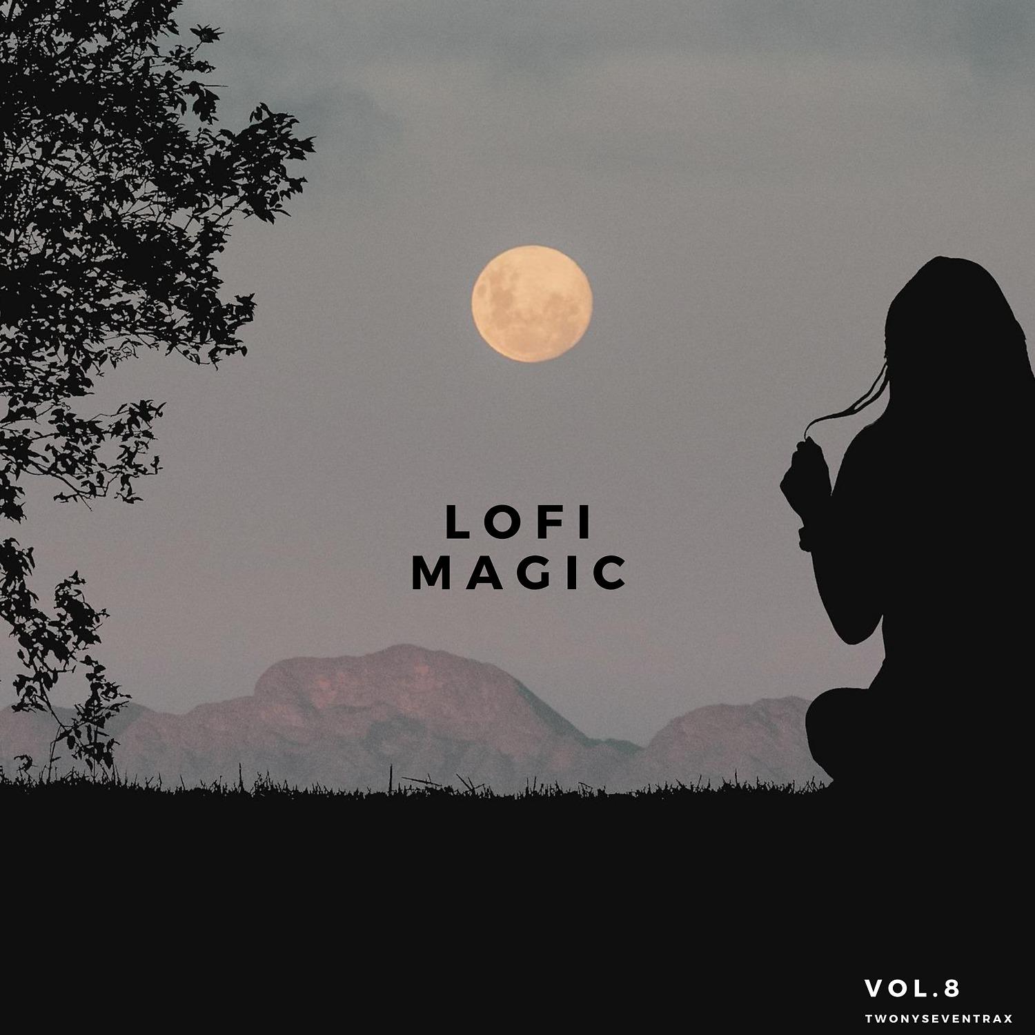 Постер альбома Lofi Magic, Vol. 8