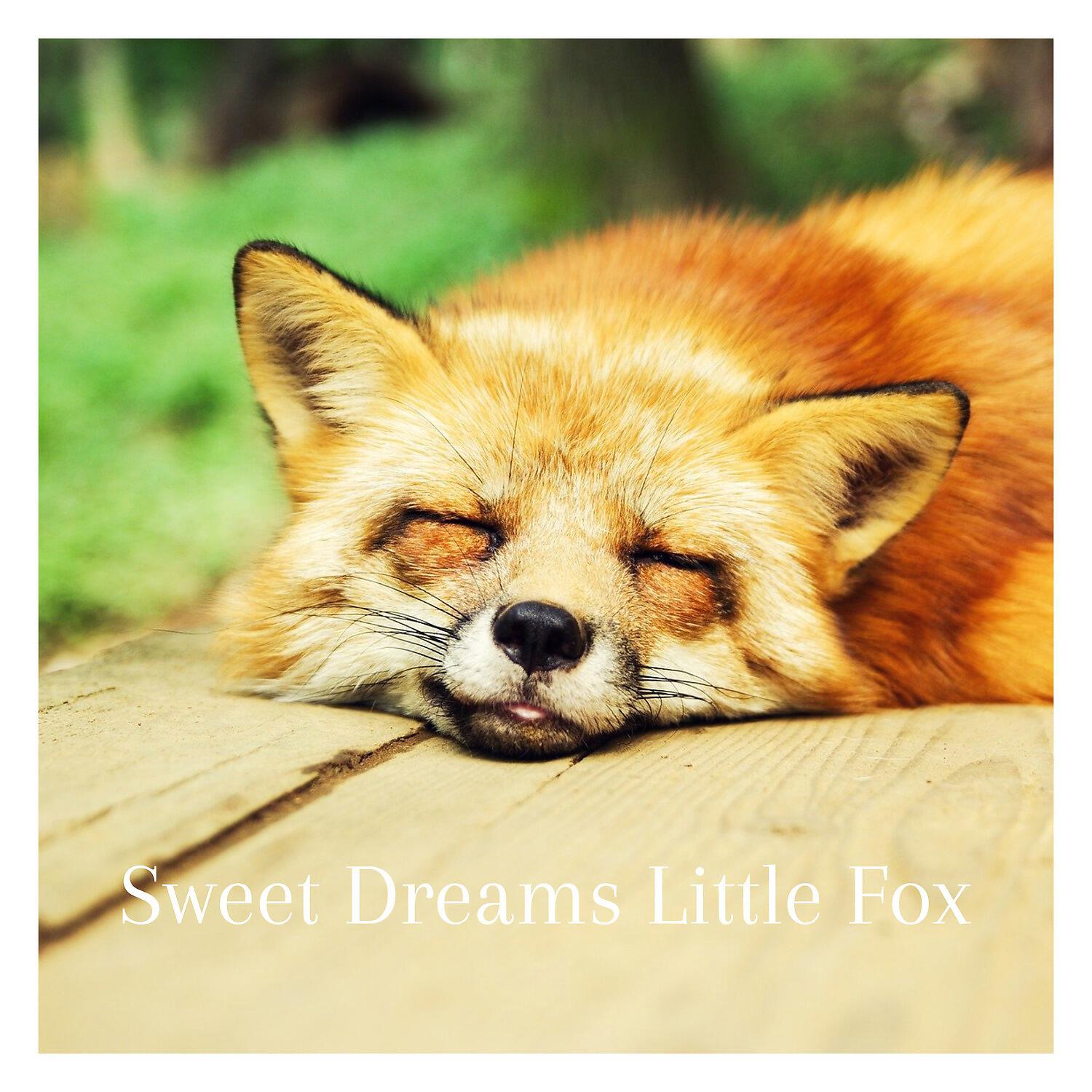 Sweet Dreams - In Your Deepest Gaze