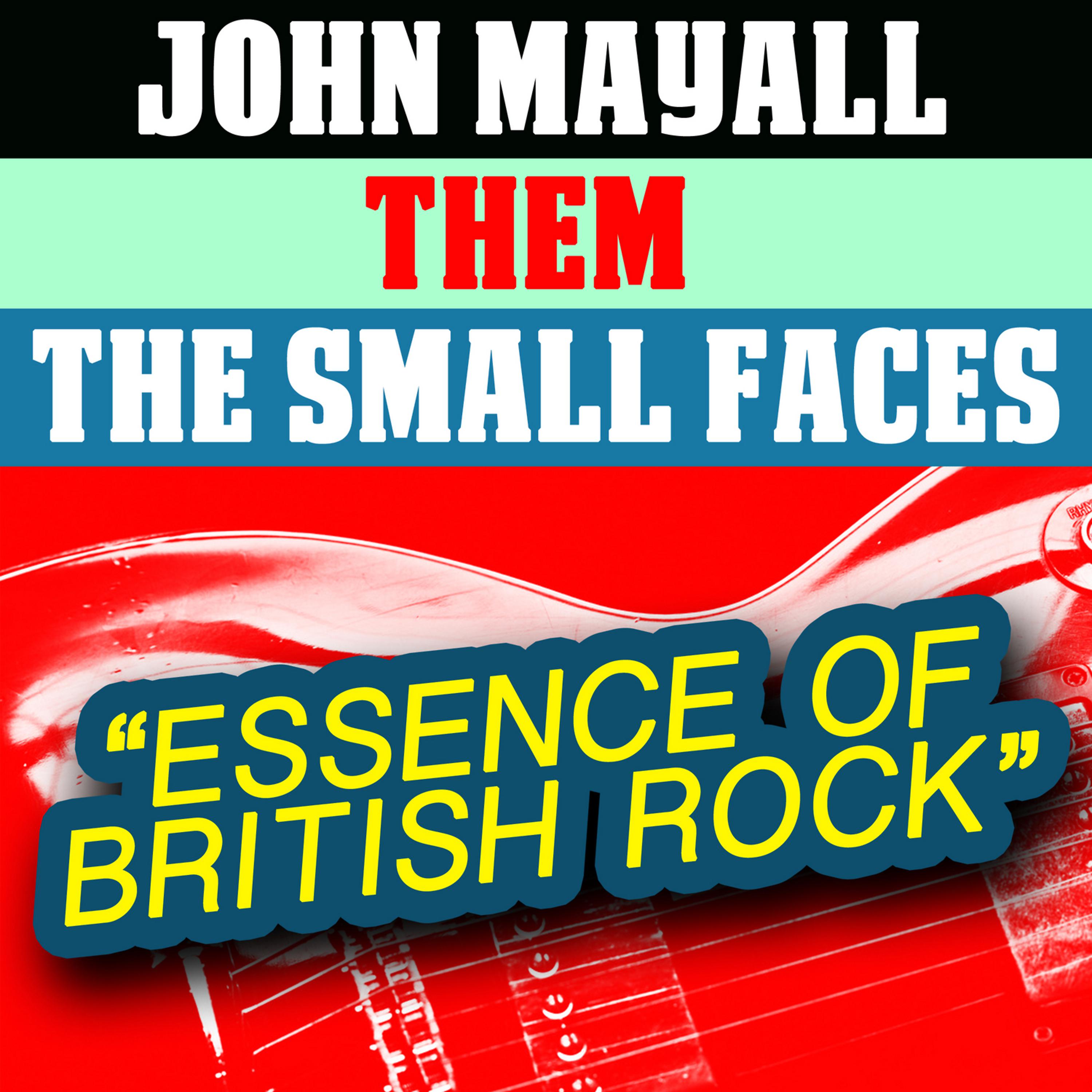 Постер альбома Essence of British Rock