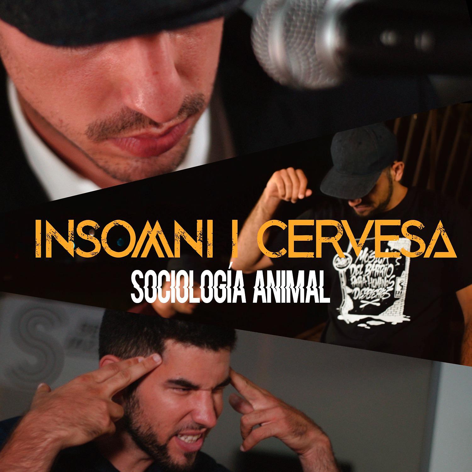 Постер альбома Insomni i Cervesa
