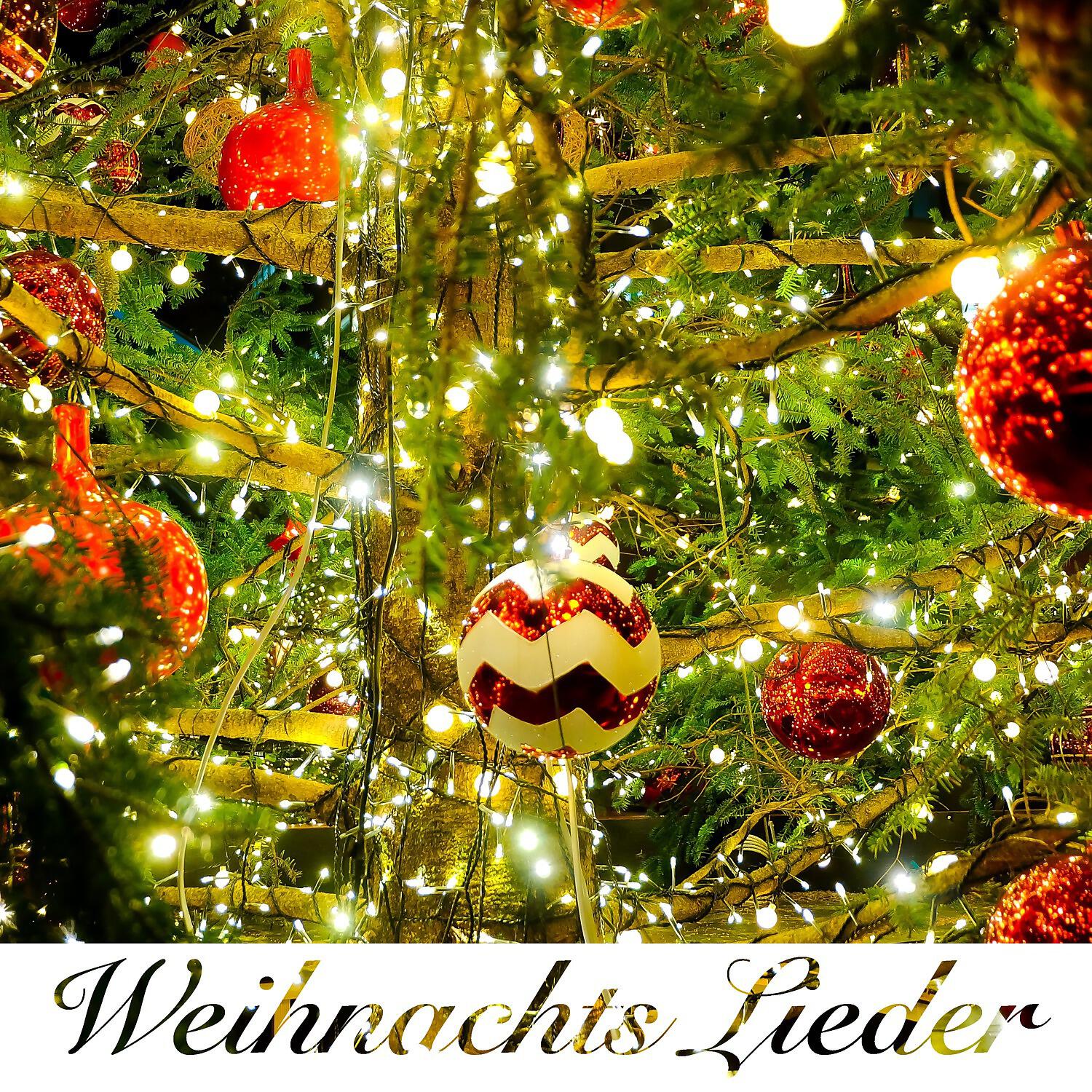 Weihnachtslieder Collection - Engel auf den Feldern singen