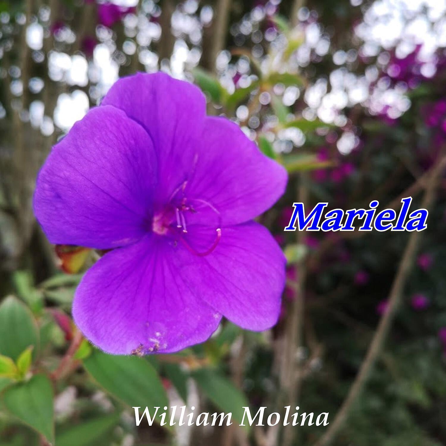 William Molina - Mariela
