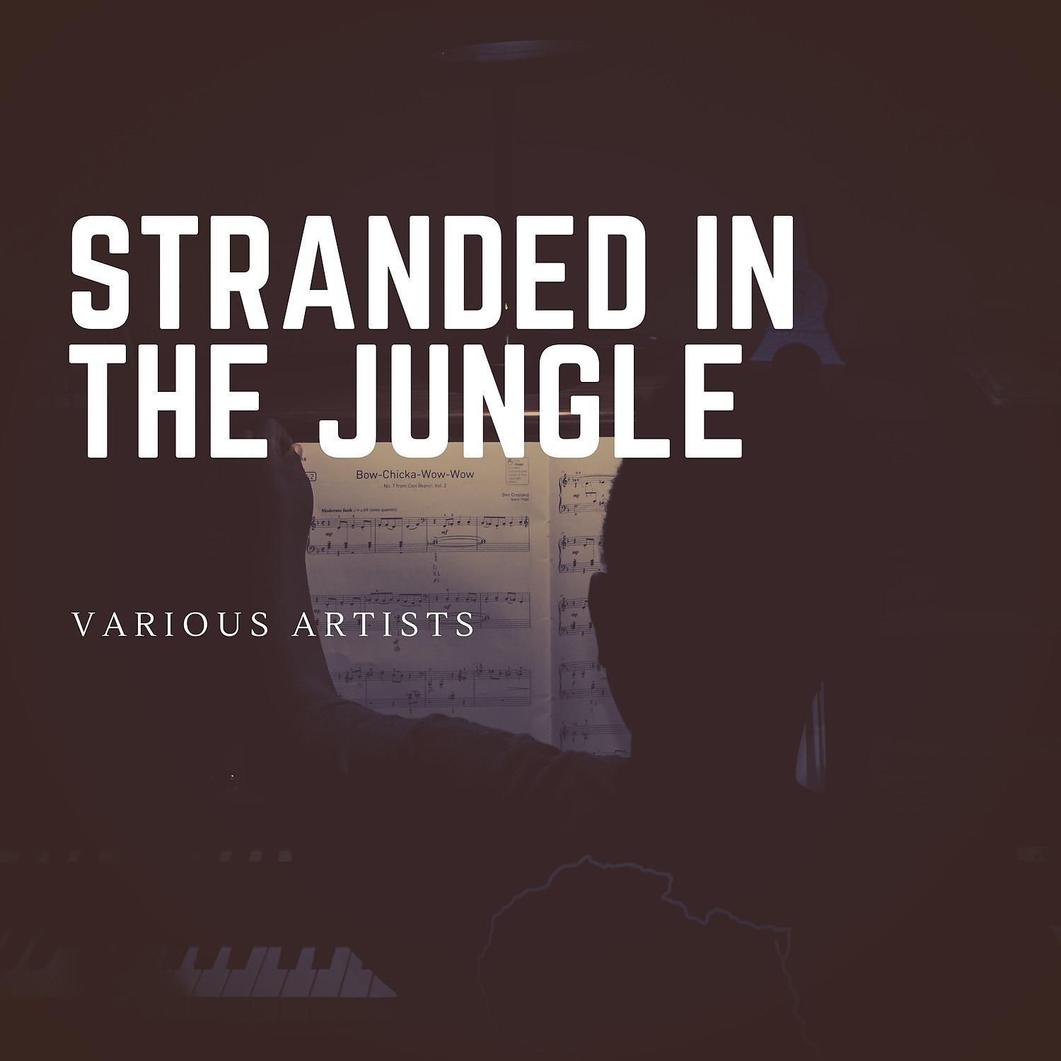 Постер альбома Stranded in the Jungle