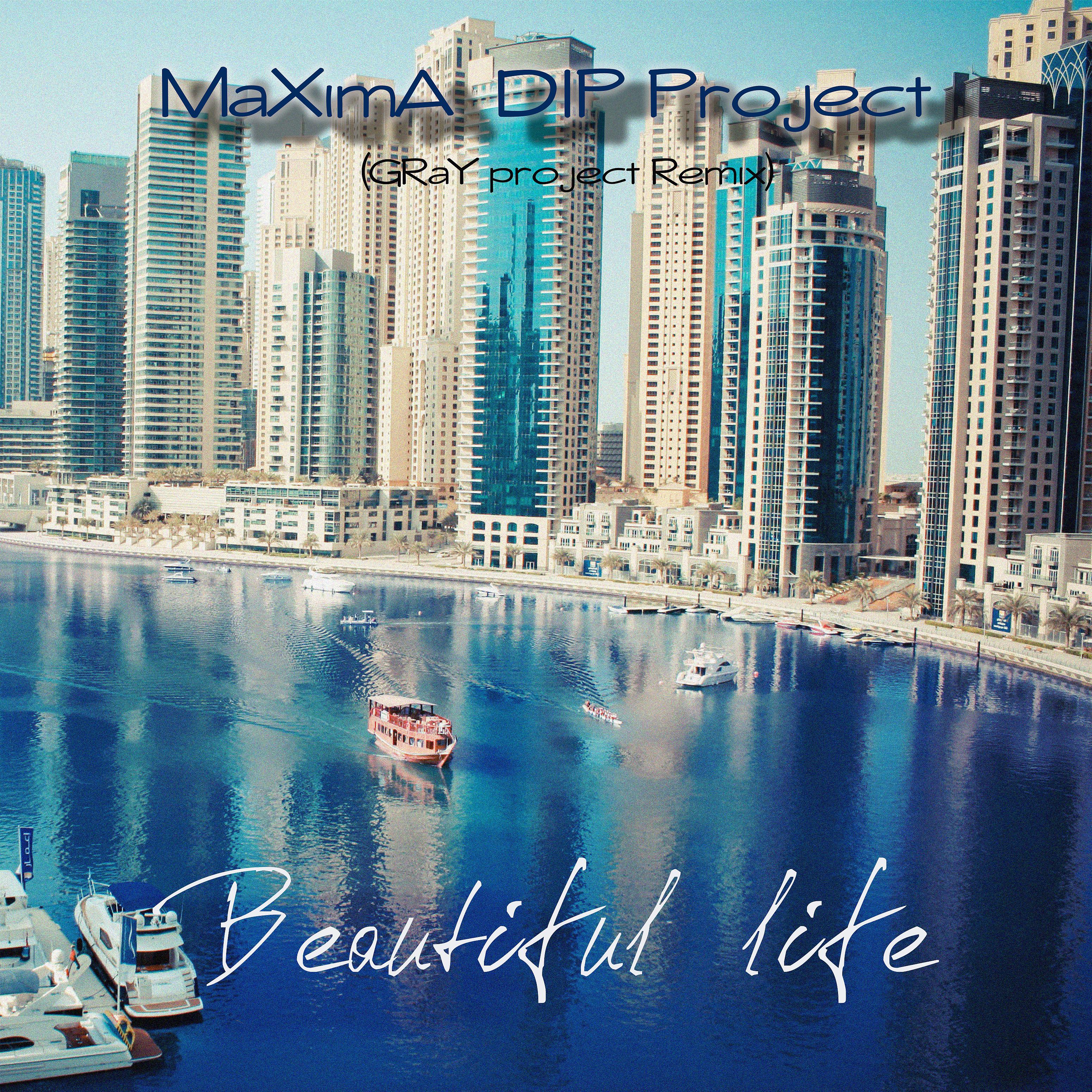 Постер альбома Beautiful Life (Gray Project Remix)