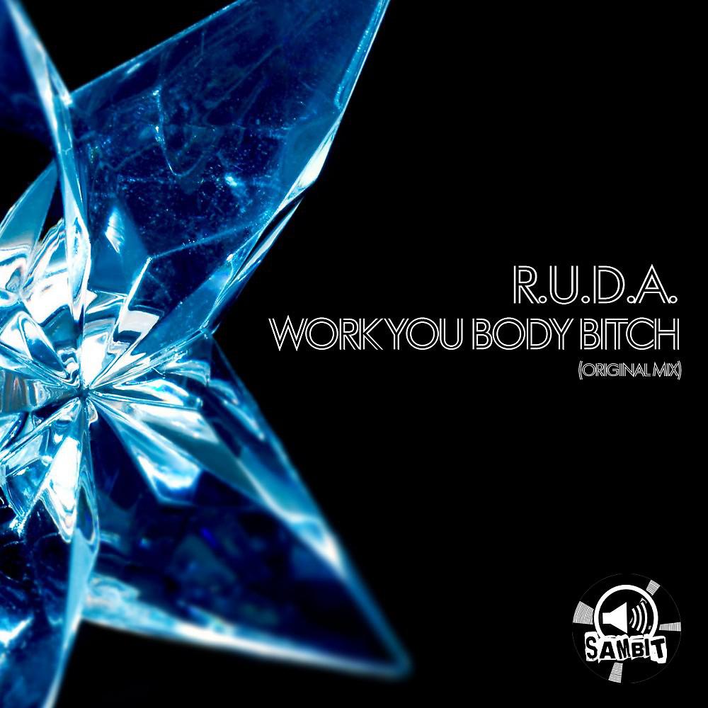 Постер альбома Work You Body Bitch