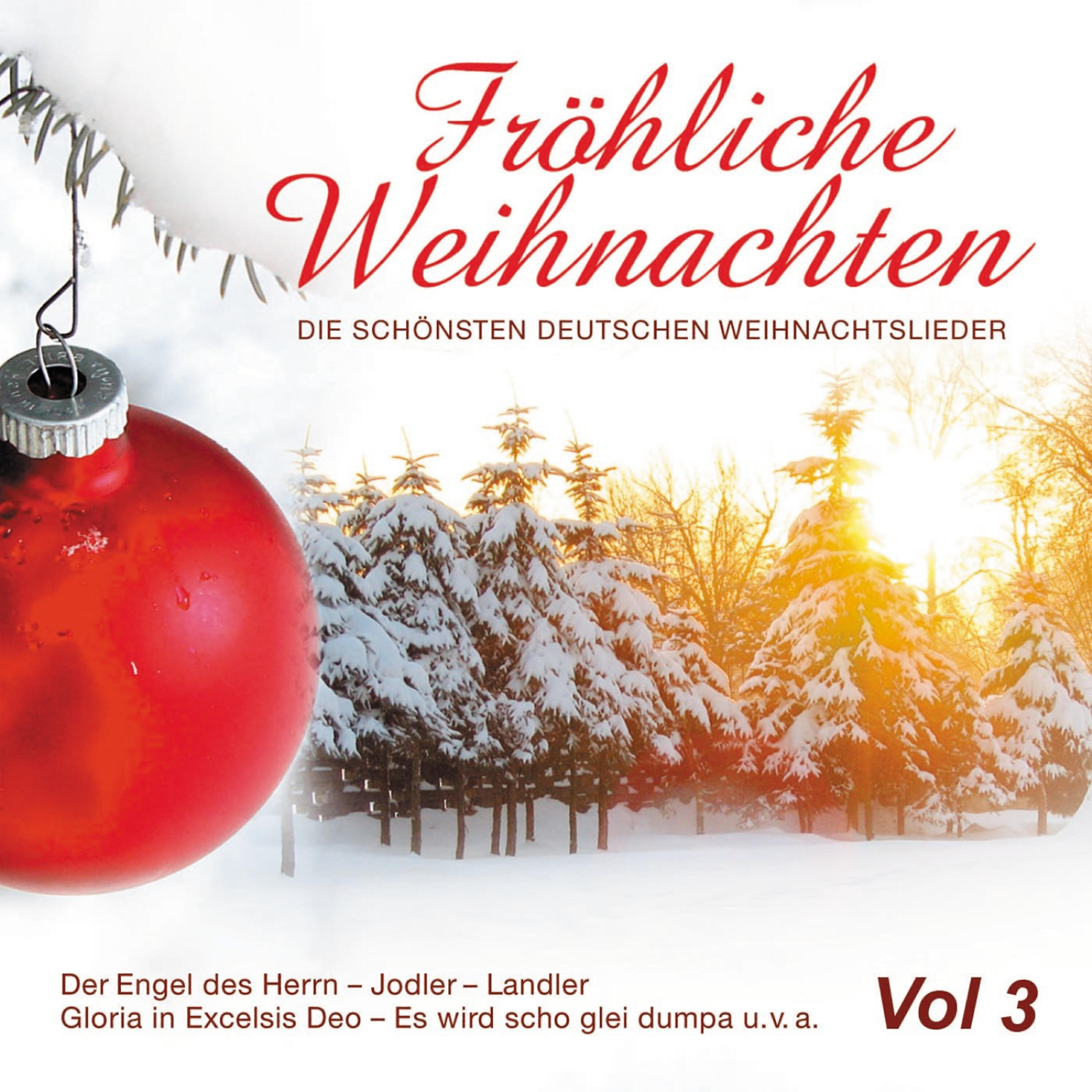 Schellenberger Musikanten - Einleitungsmusik