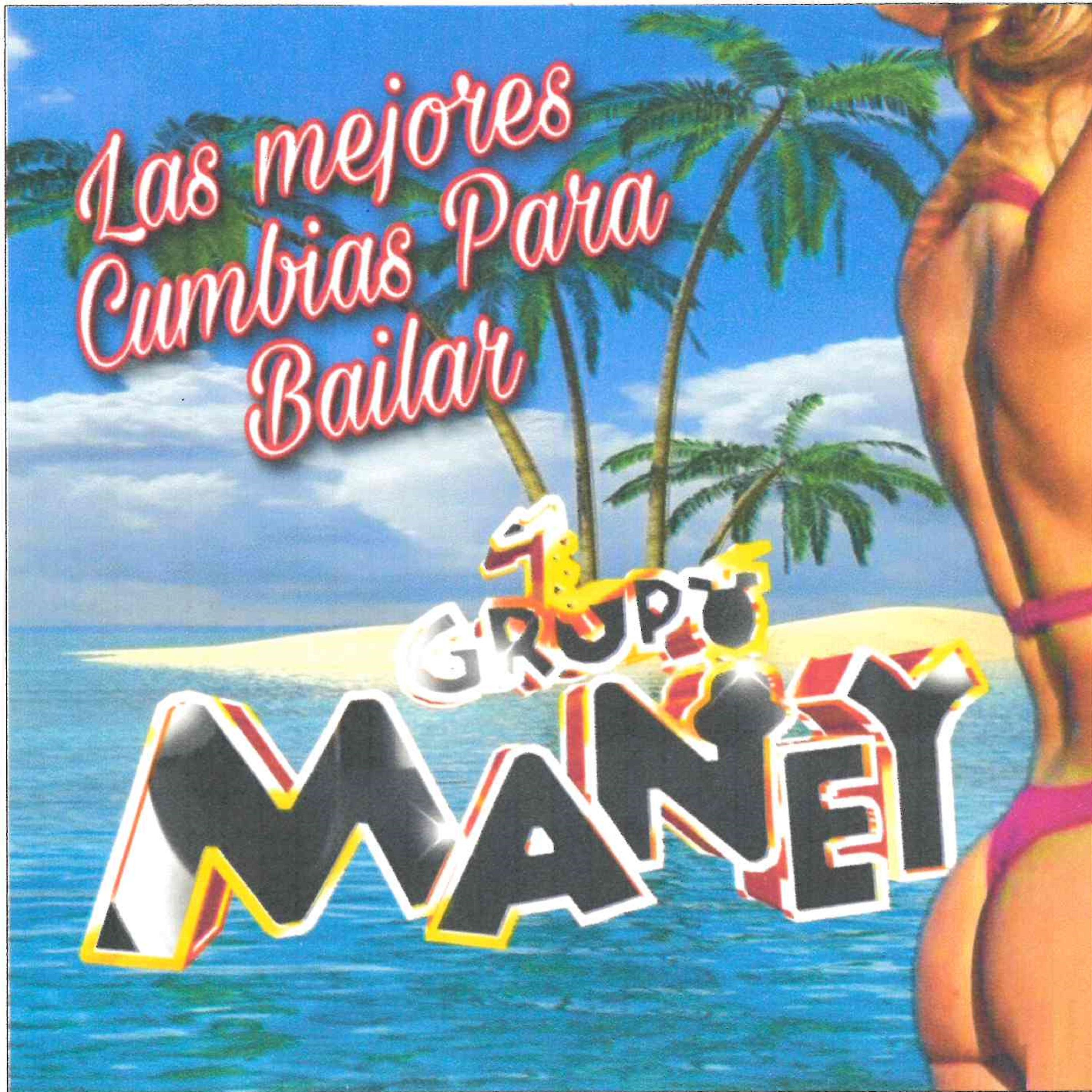 Постер альбома Las Mejores Cumbias para Bailar