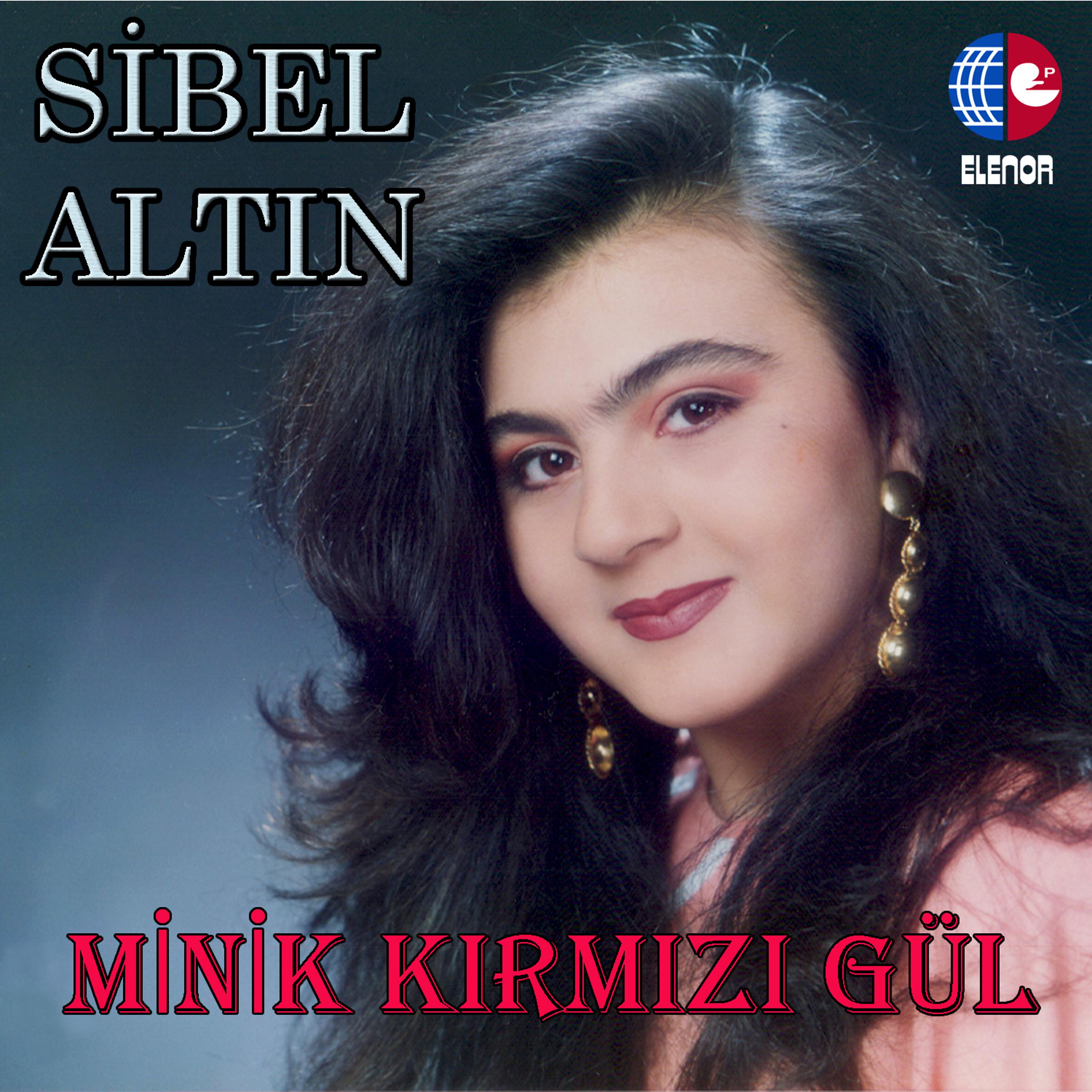 Постер альбома Minik Kırmızı Gül