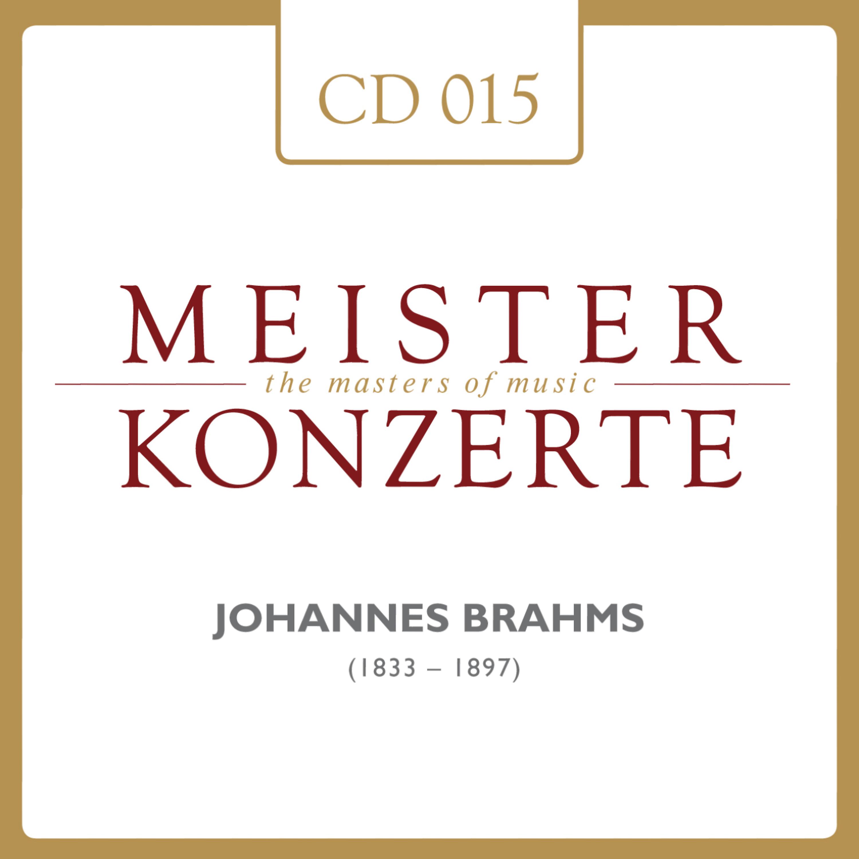Постер альбома Johannes Brahms