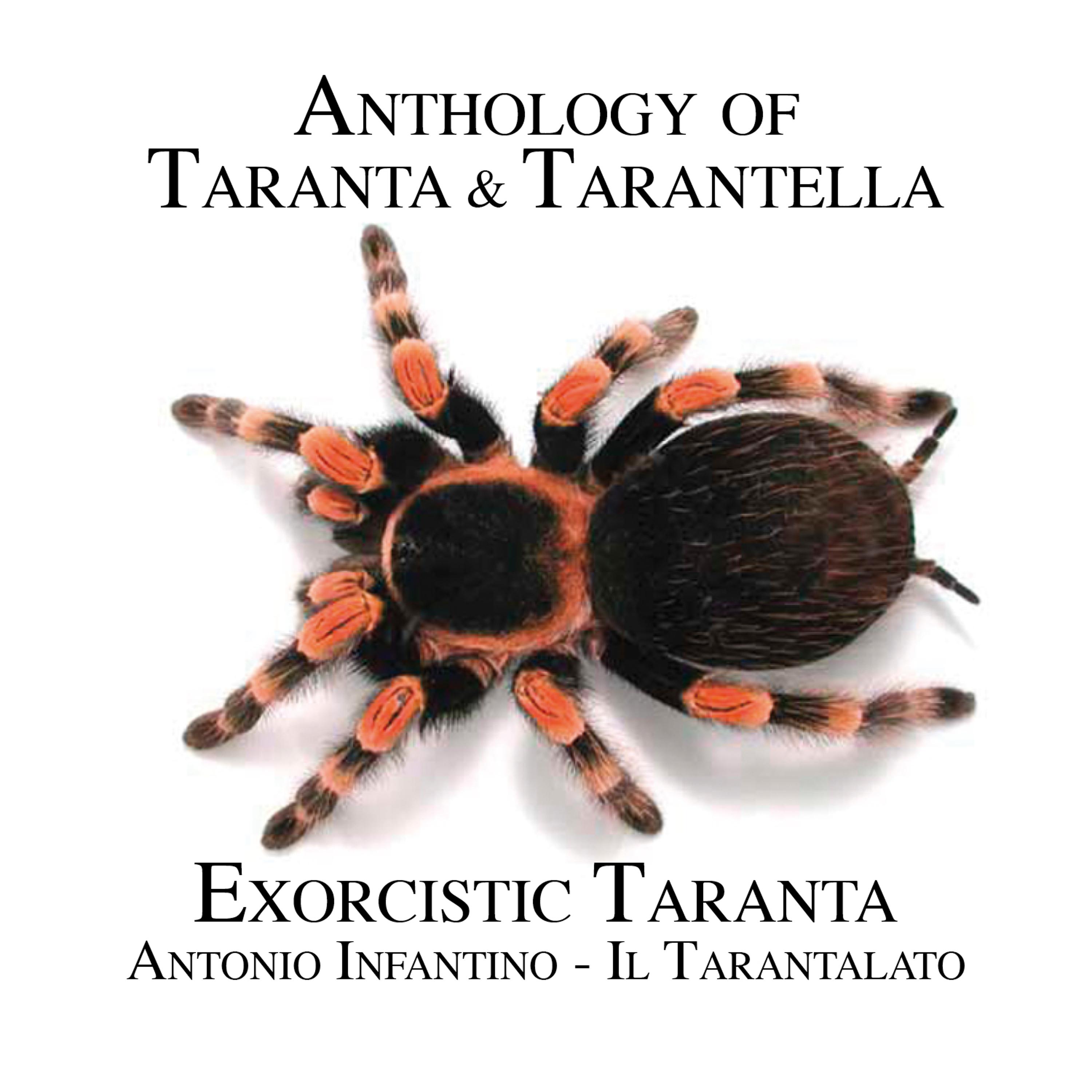 Постер альбома Exorcistic Taranta (Between order and chaos)