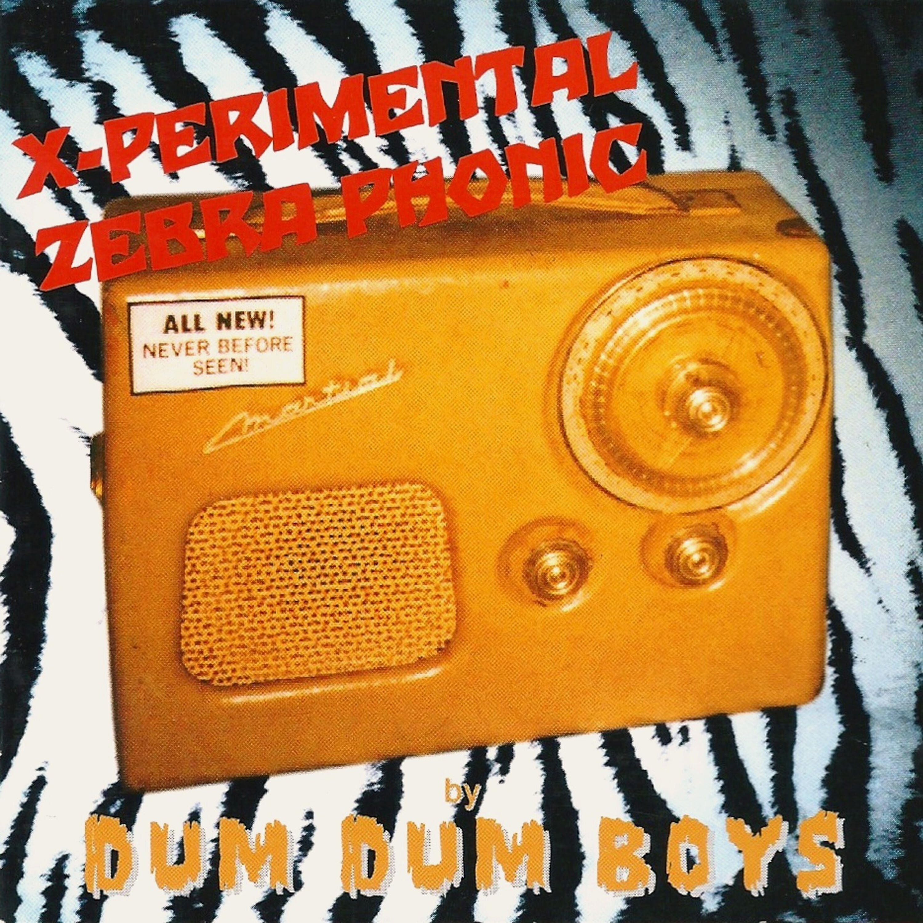 DUM DUM BOYS - Fuzzbox Baby