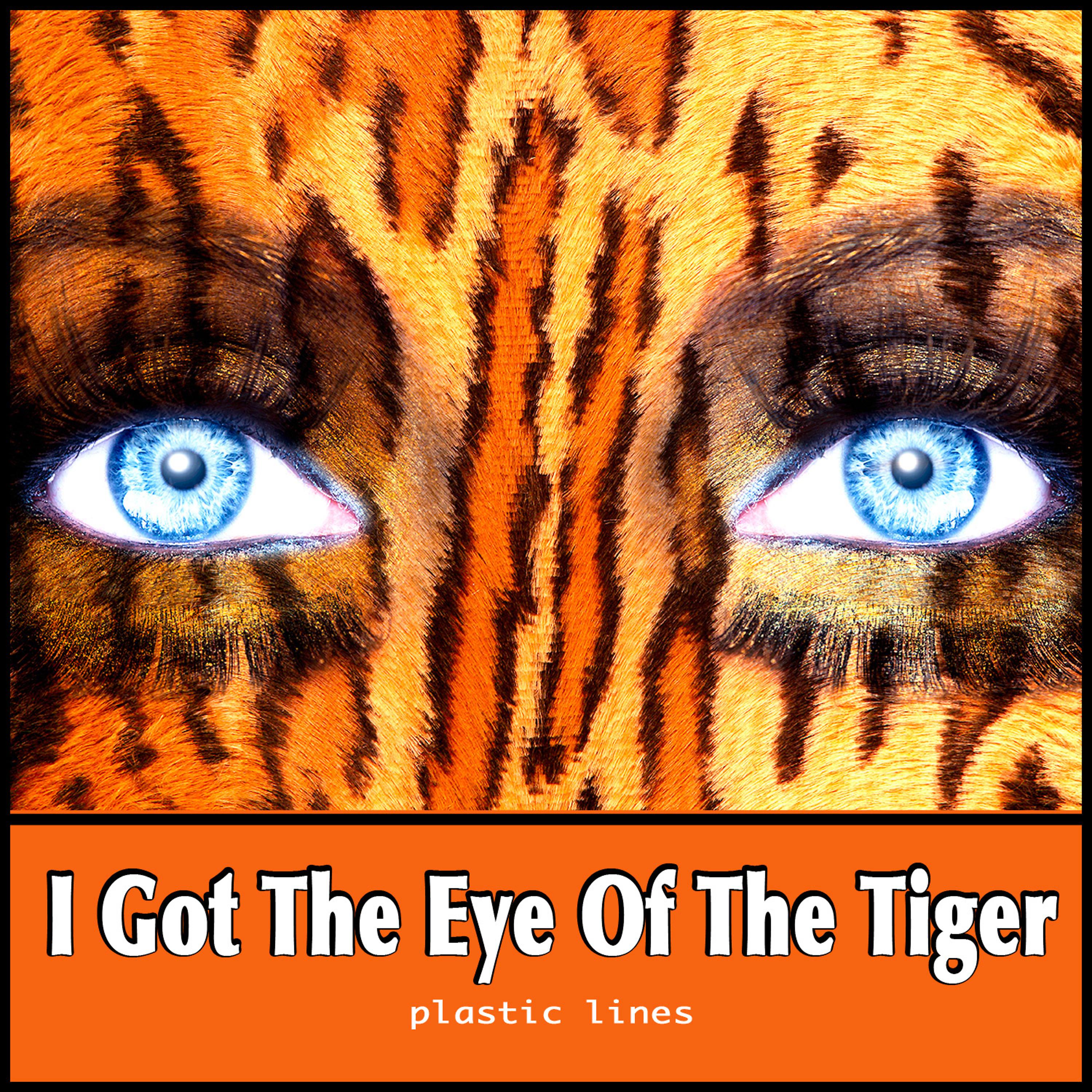 Постер альбома I Got the Eye of the Tiger