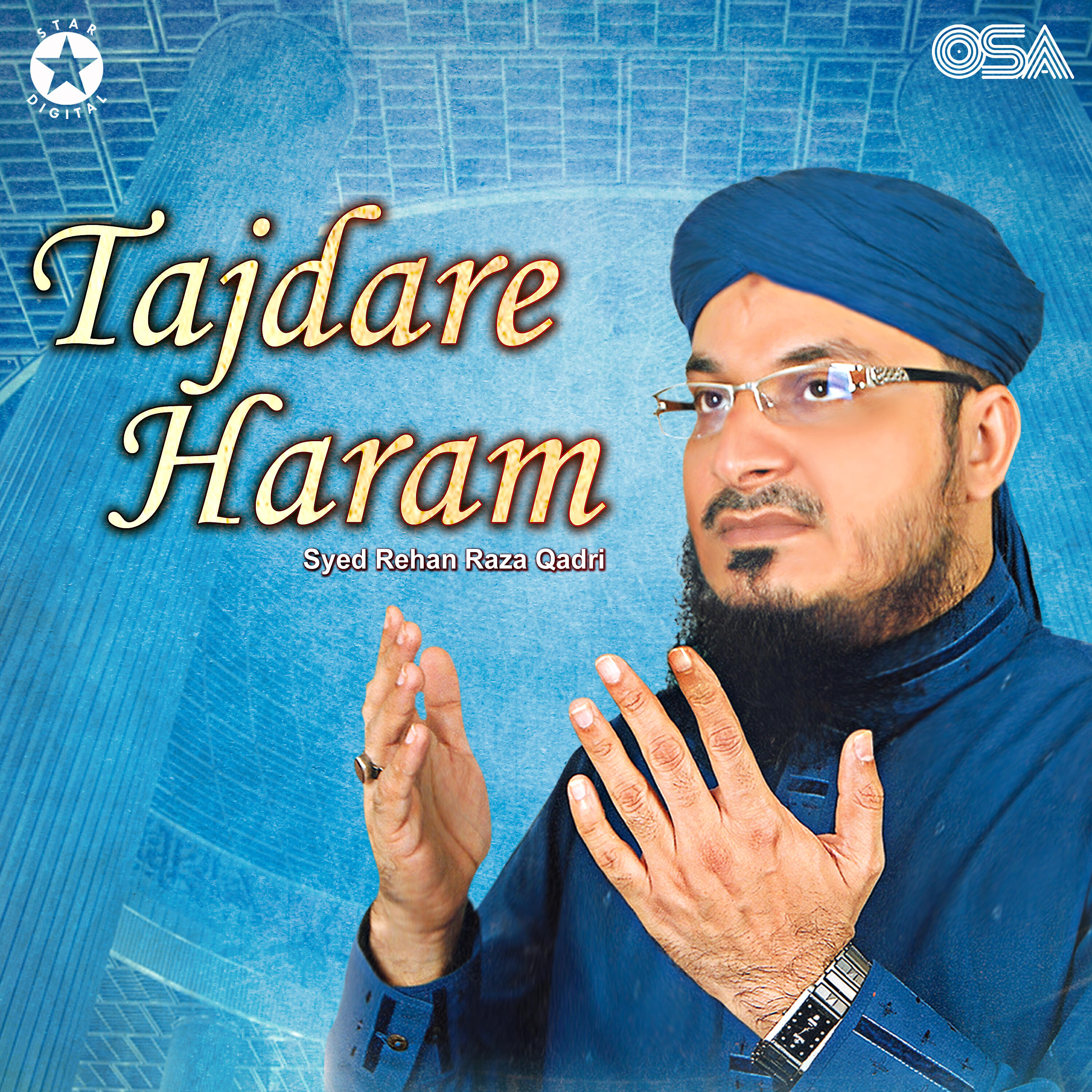 Syed Rehan Raza Qadri - Muhammad Muhammad Pukare Chala Ja