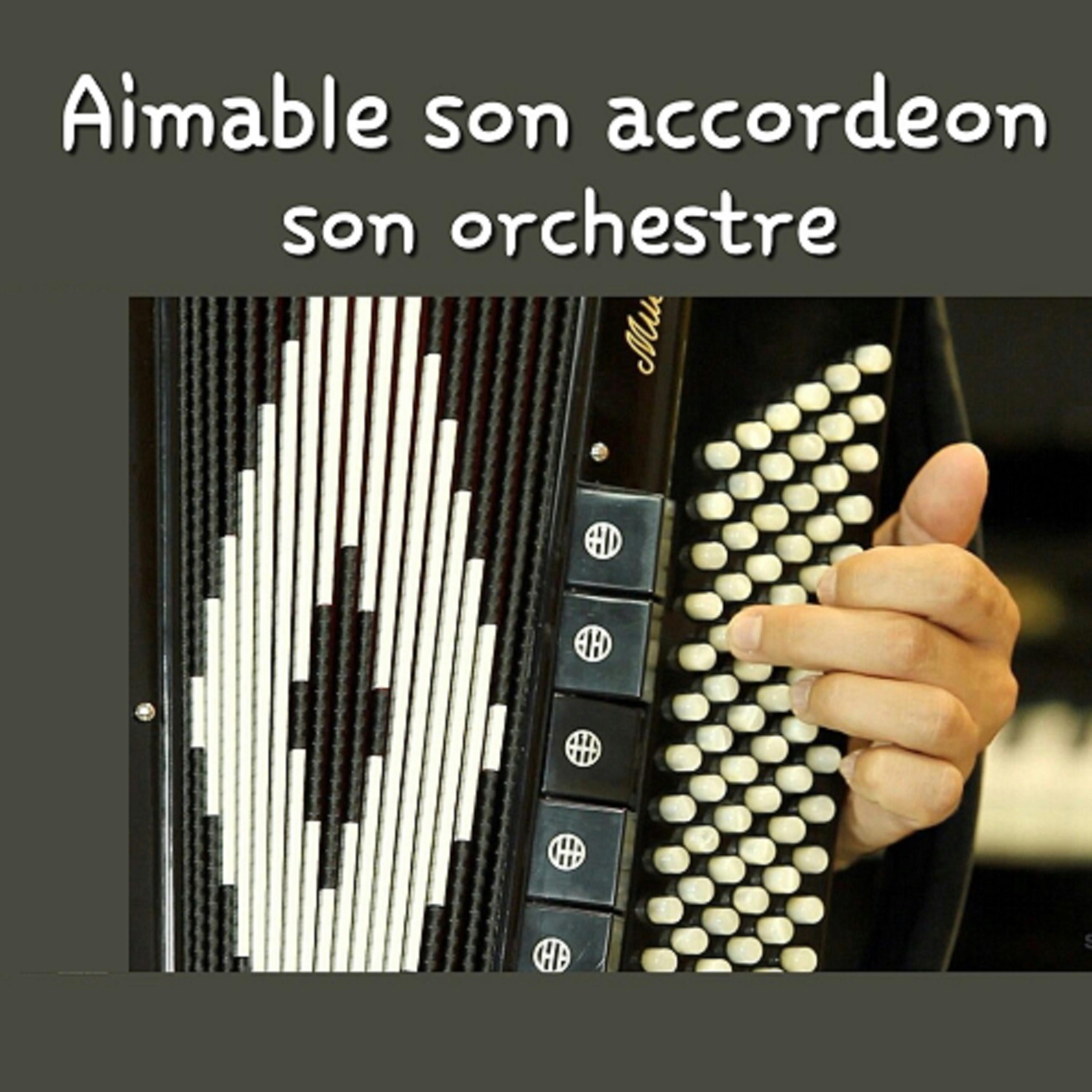 Постер альбома Aimable Son Accordeon Son Orchestre