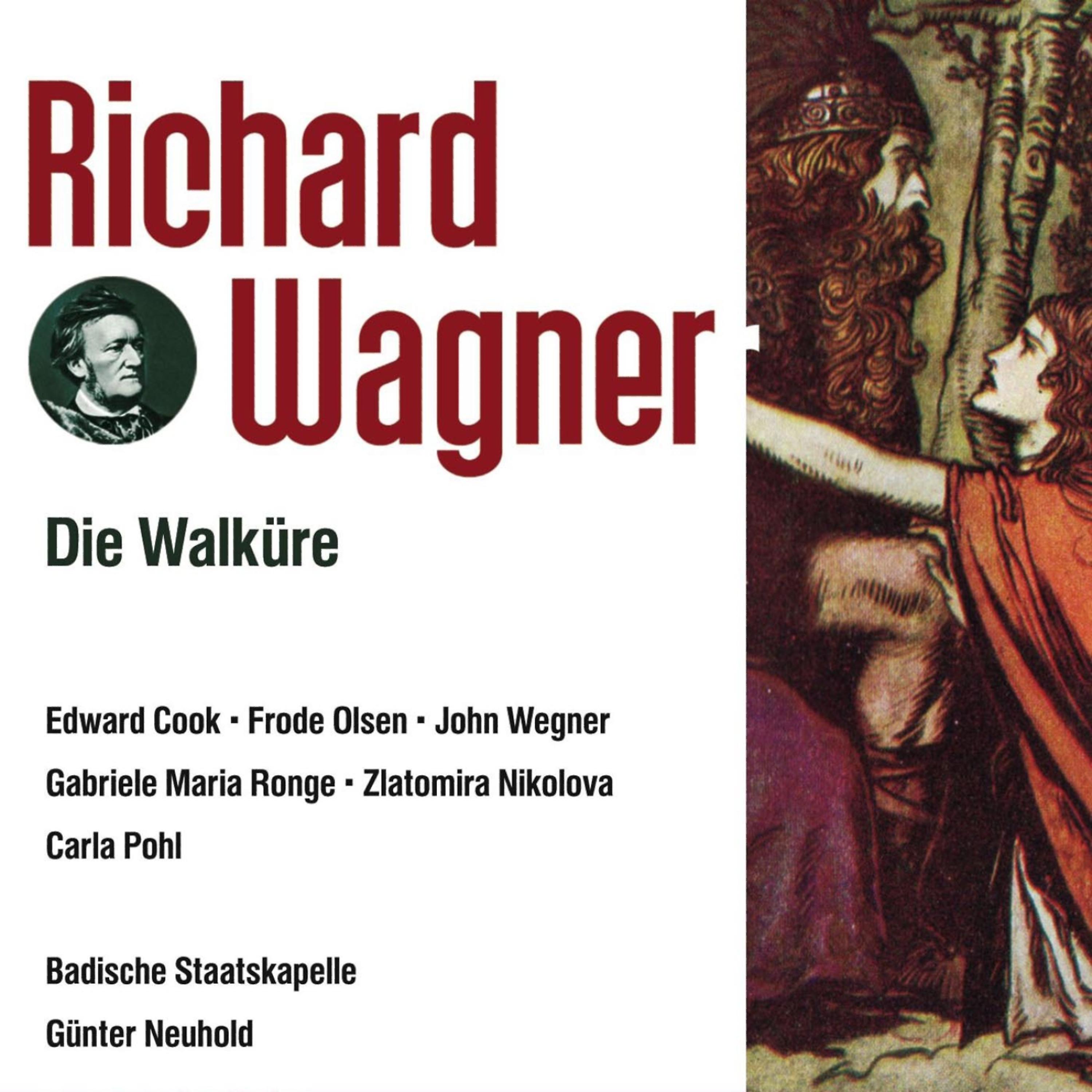 Постер альбома Die Walküre