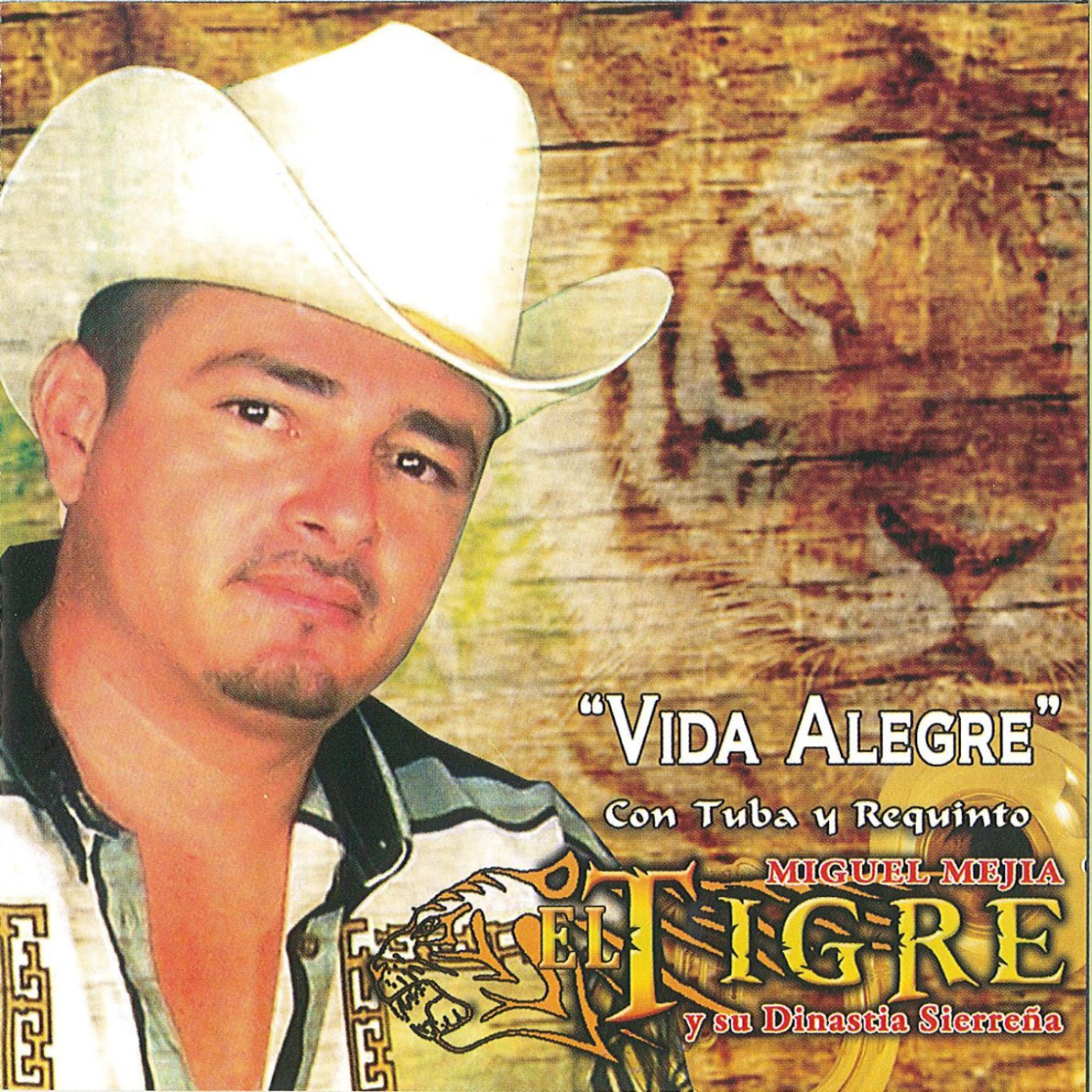 Постер альбома Vida Alegre