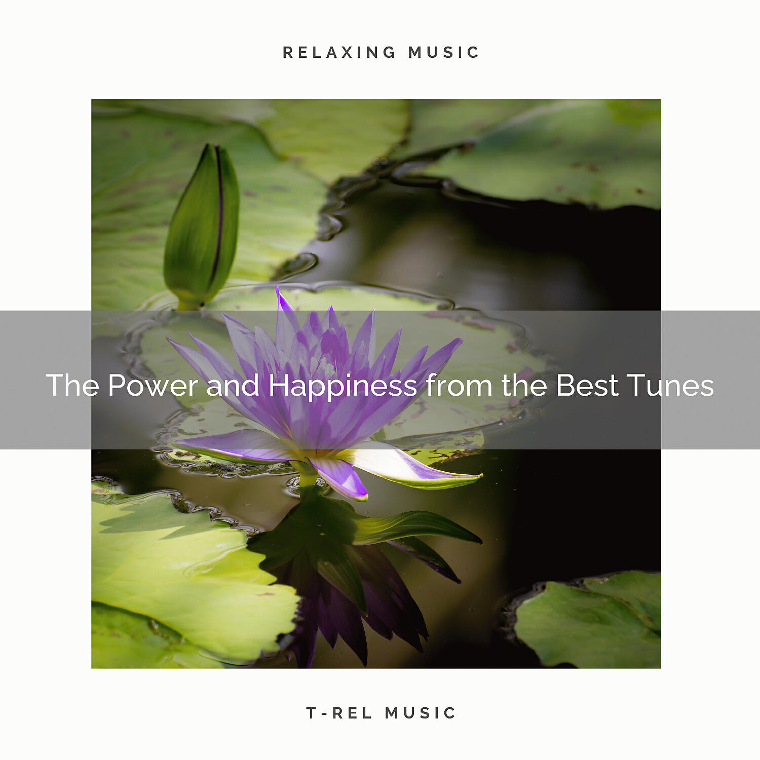 Relax Meditate Sleep - The Power and Happiness from the Best Tunes