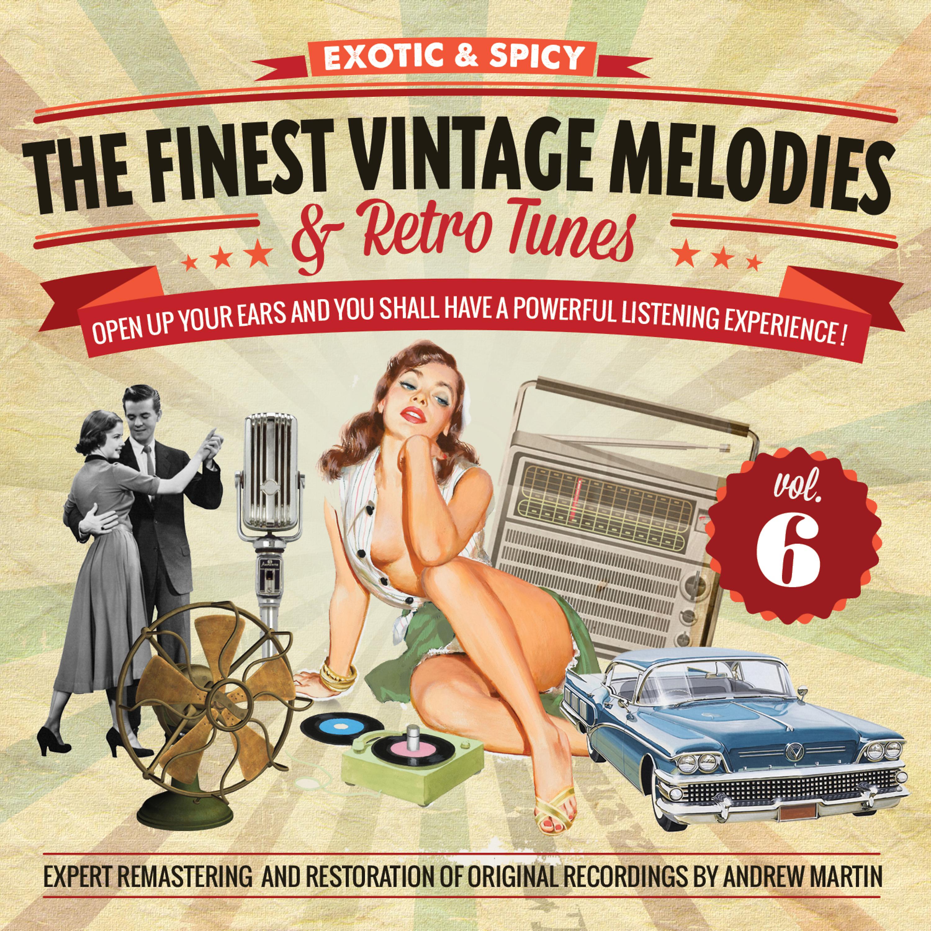 Постер альбома The Finest Vintage Melodies & Retro Tunes Vol. 6