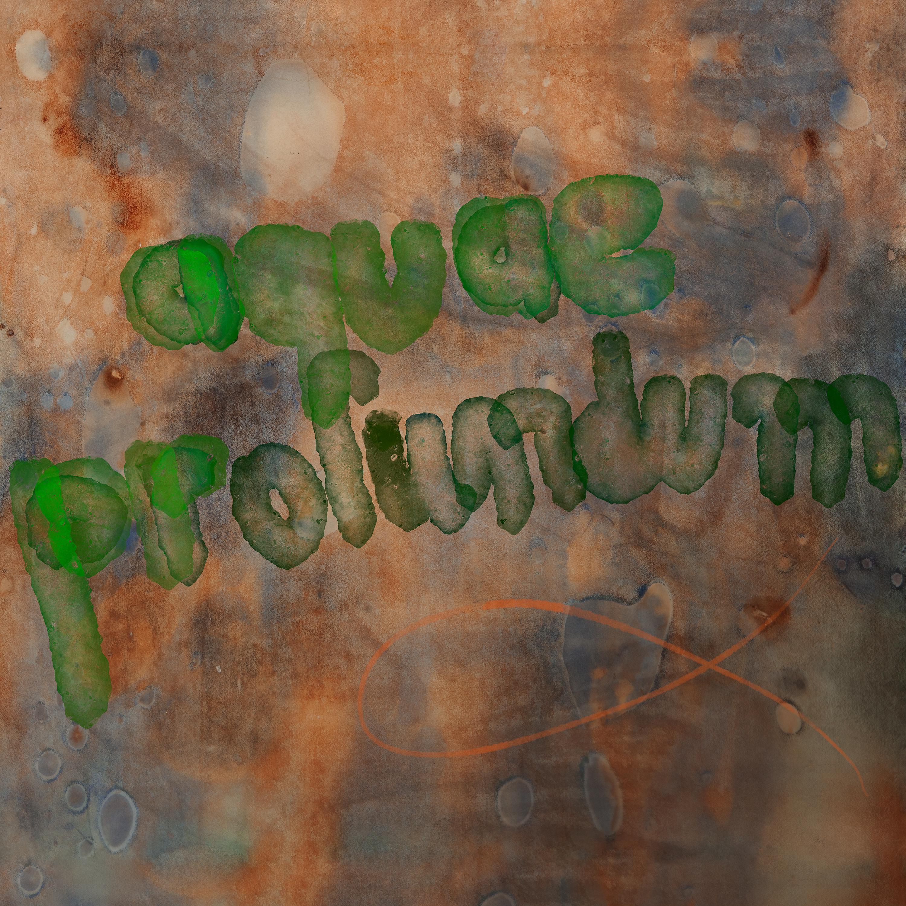 Постер альбома Aquae Profundum