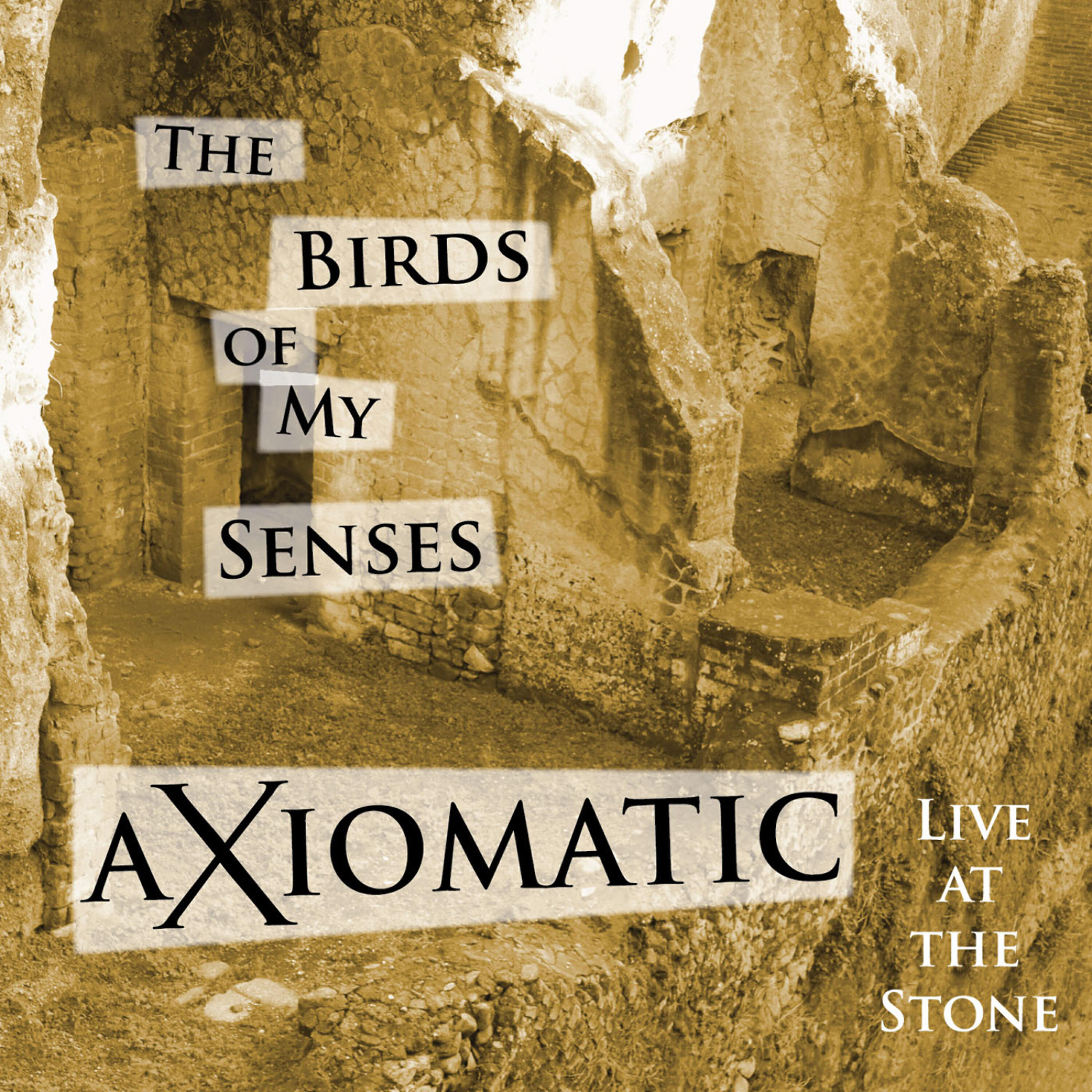 Robert Musso - The Birds of My Senses