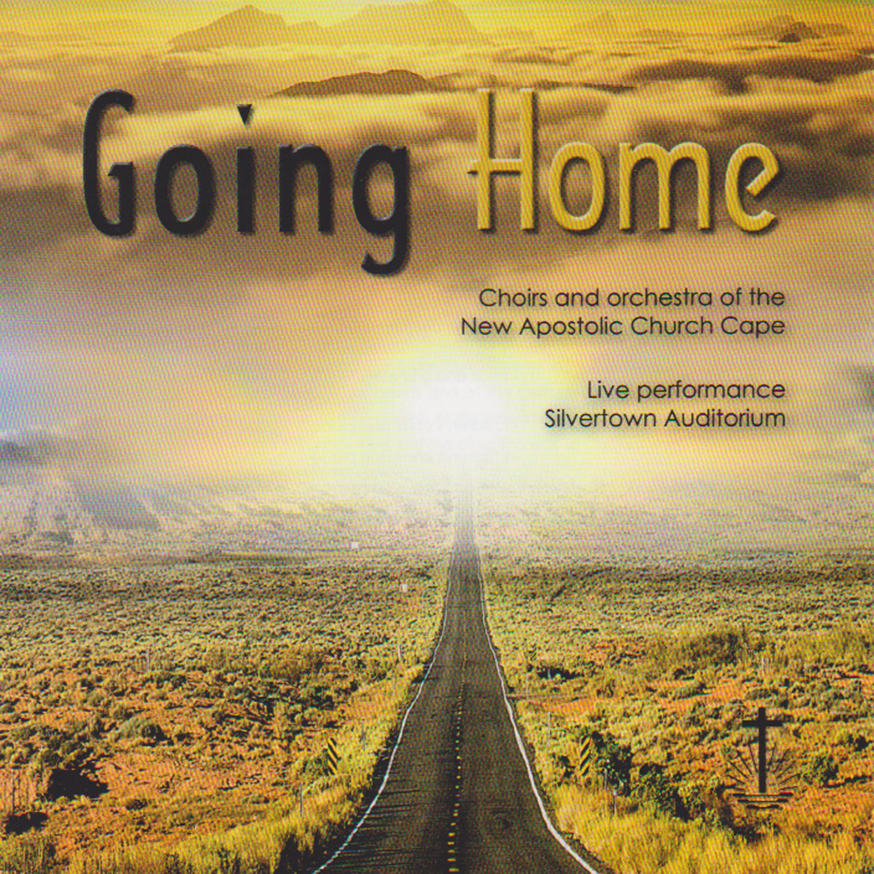 Постер альбома Going Home