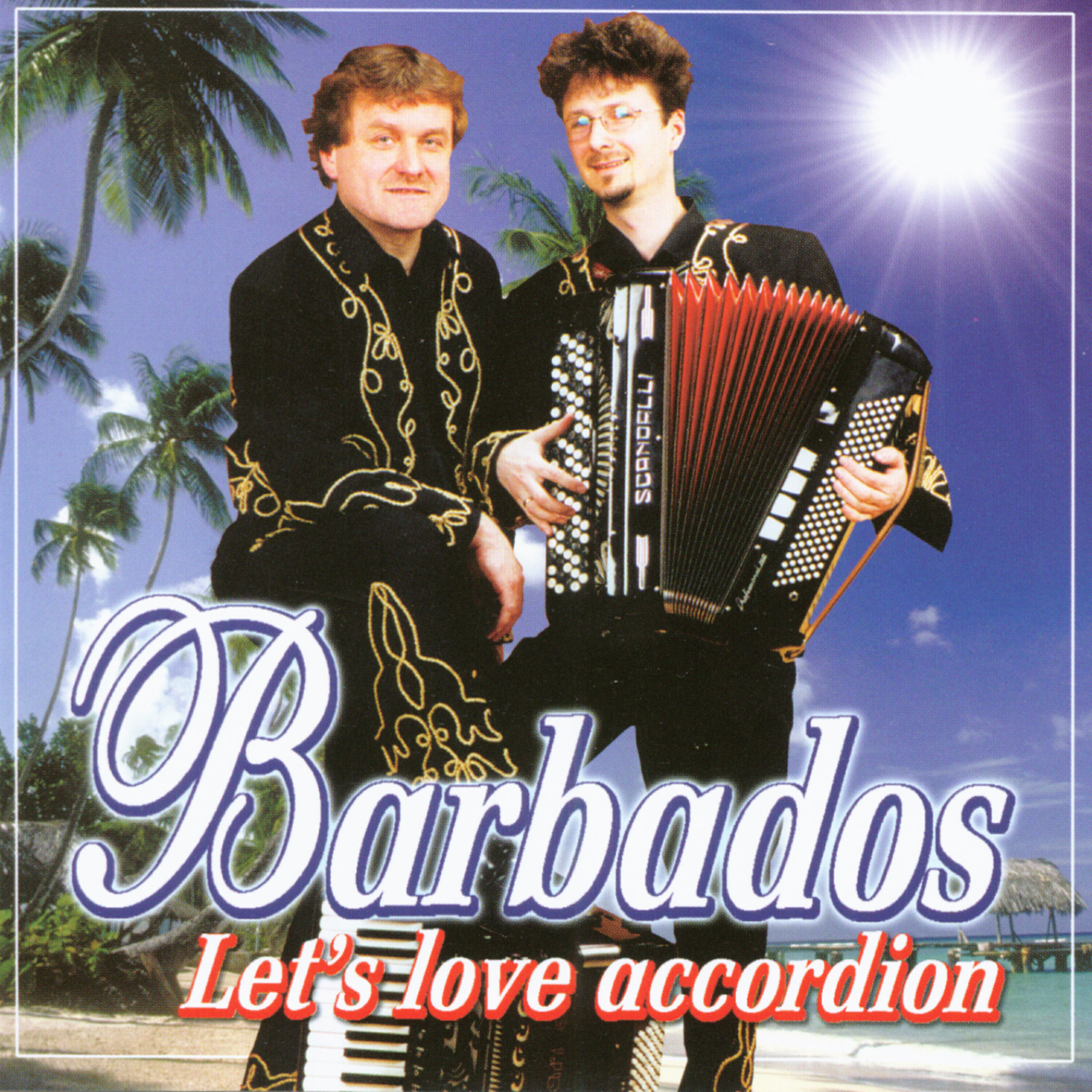 Barbados - Chasing Kormorans
