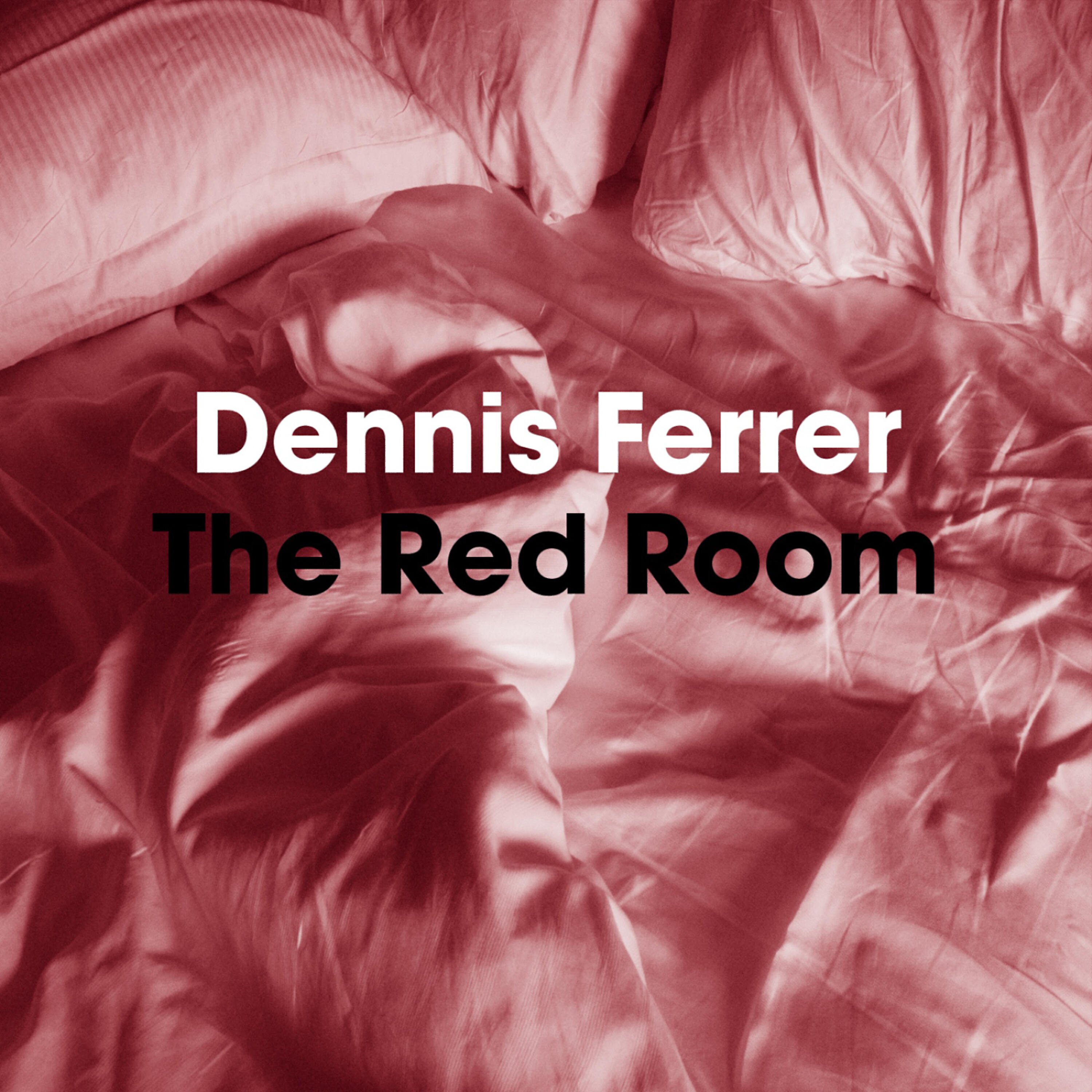 DENNIS FERRER - The Red Room (TMB & Jerome Sydenham Dub)