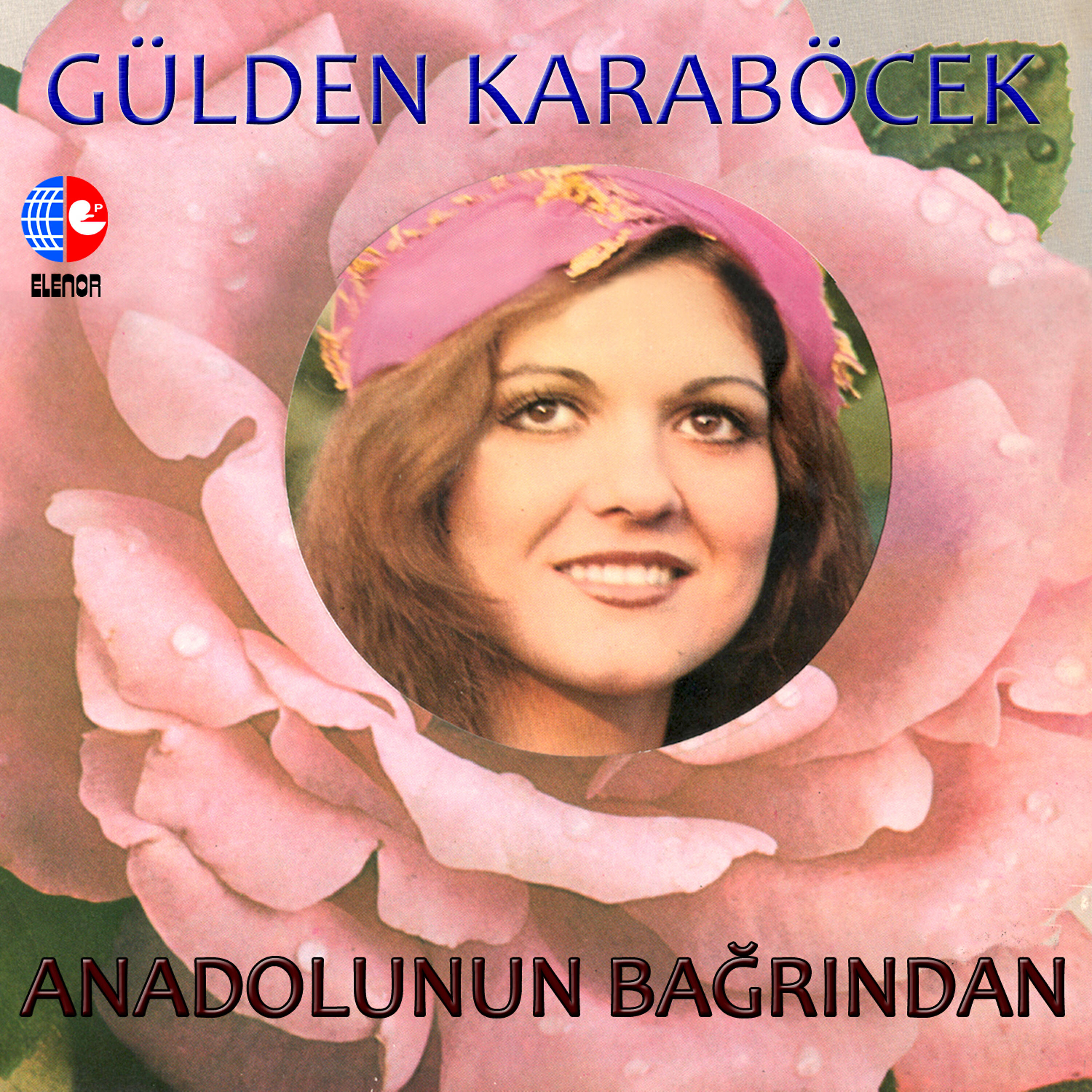 Gülden Karaböcek - Akşam Güneşi