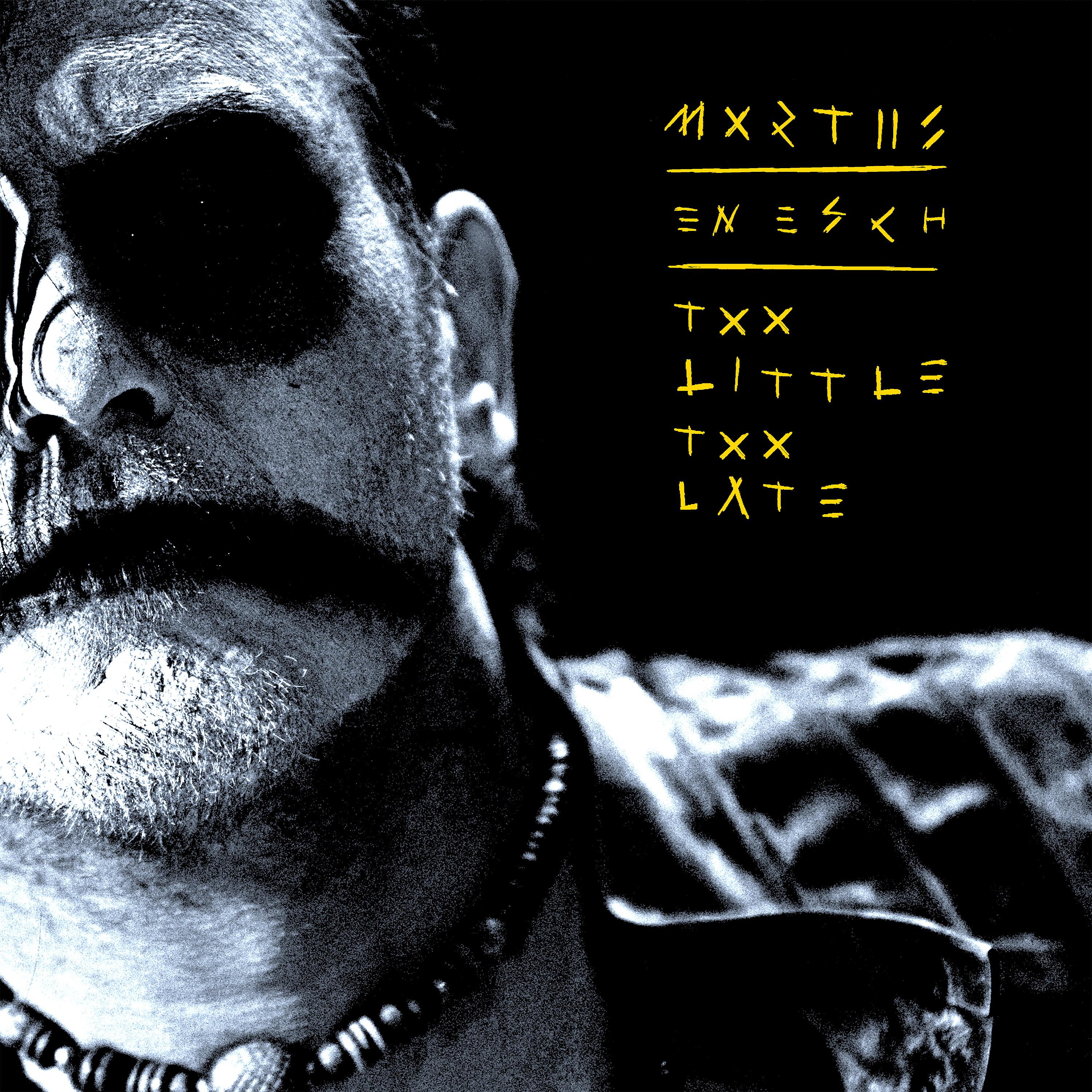 Постер альбома Too Little Too Late (En Esch Remix)