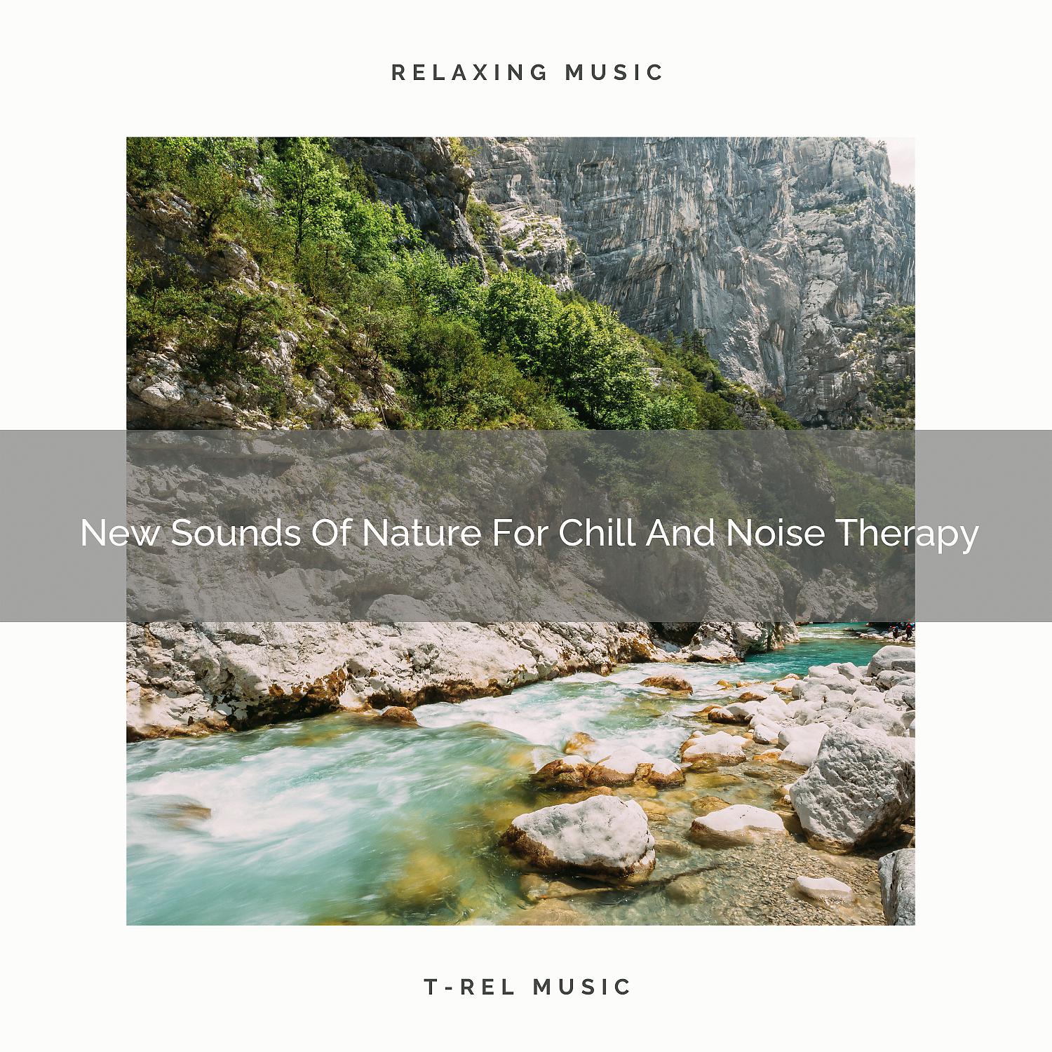 Постер альбома 2020 Best: New Sounds Of Nature For Chill And Noise Therapy