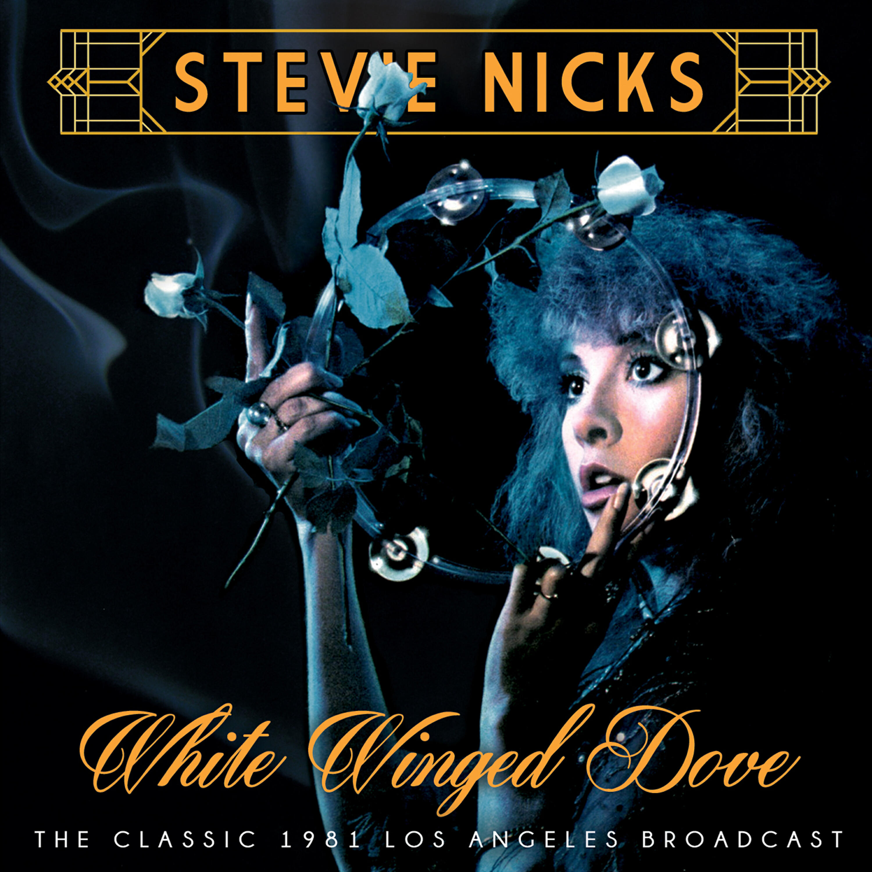 Stevie Nicks - Sara (Live)