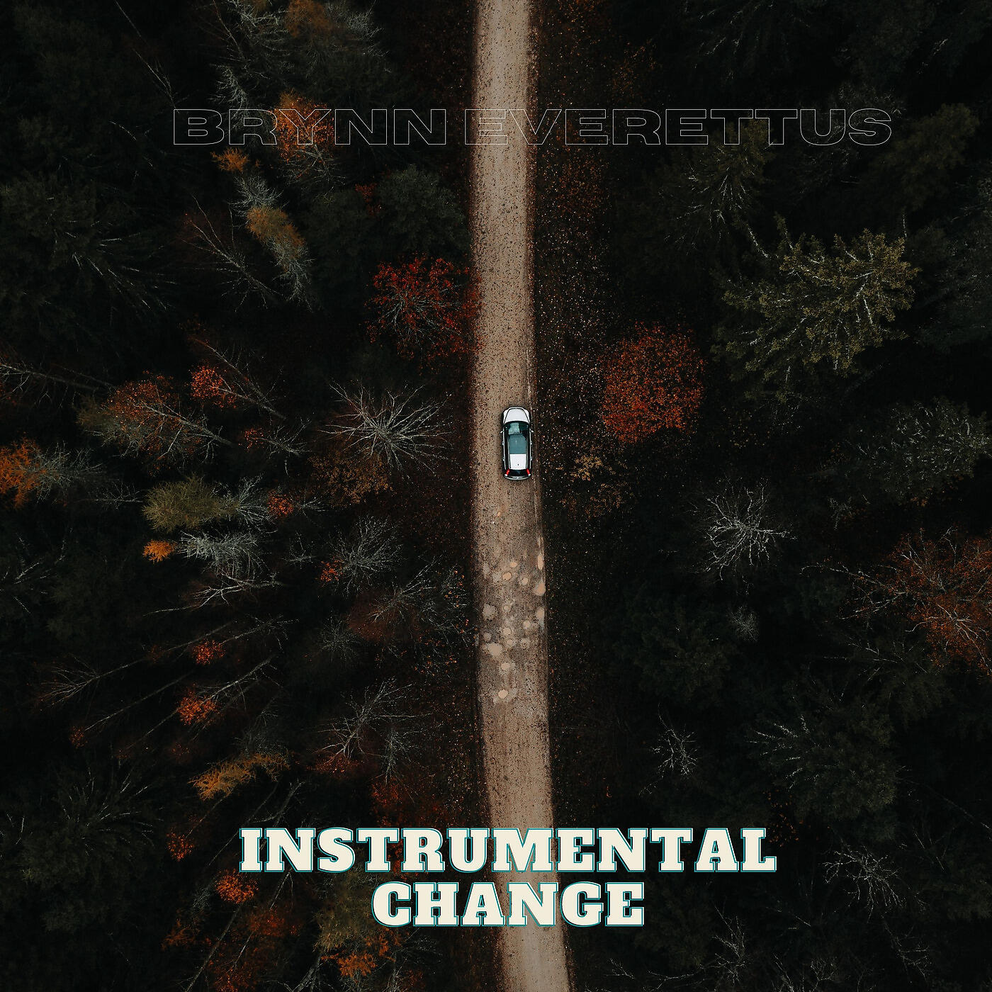 Brynn Everettus - Instrumental Change