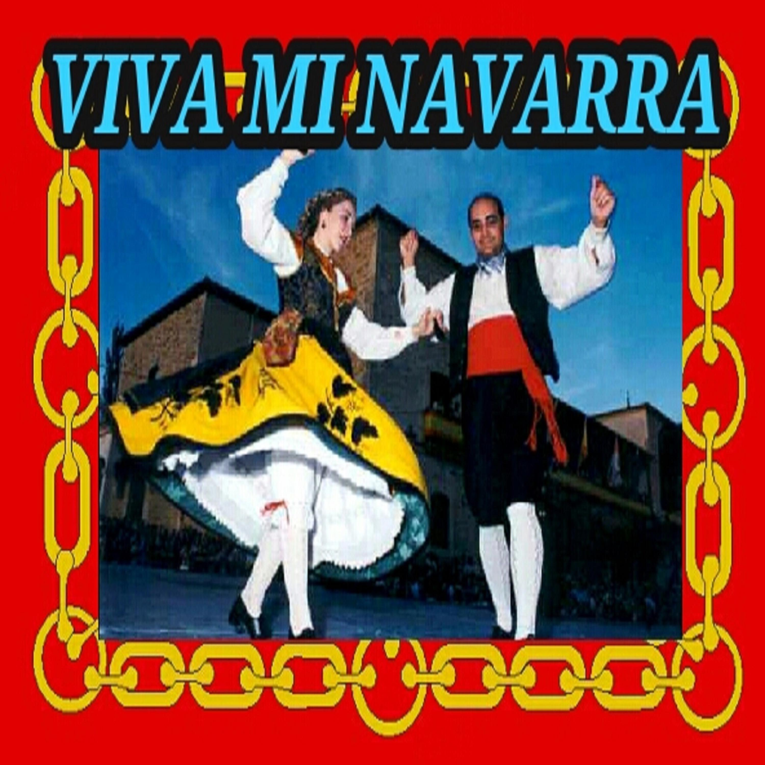 Постер альбома Viva Mi Navarra