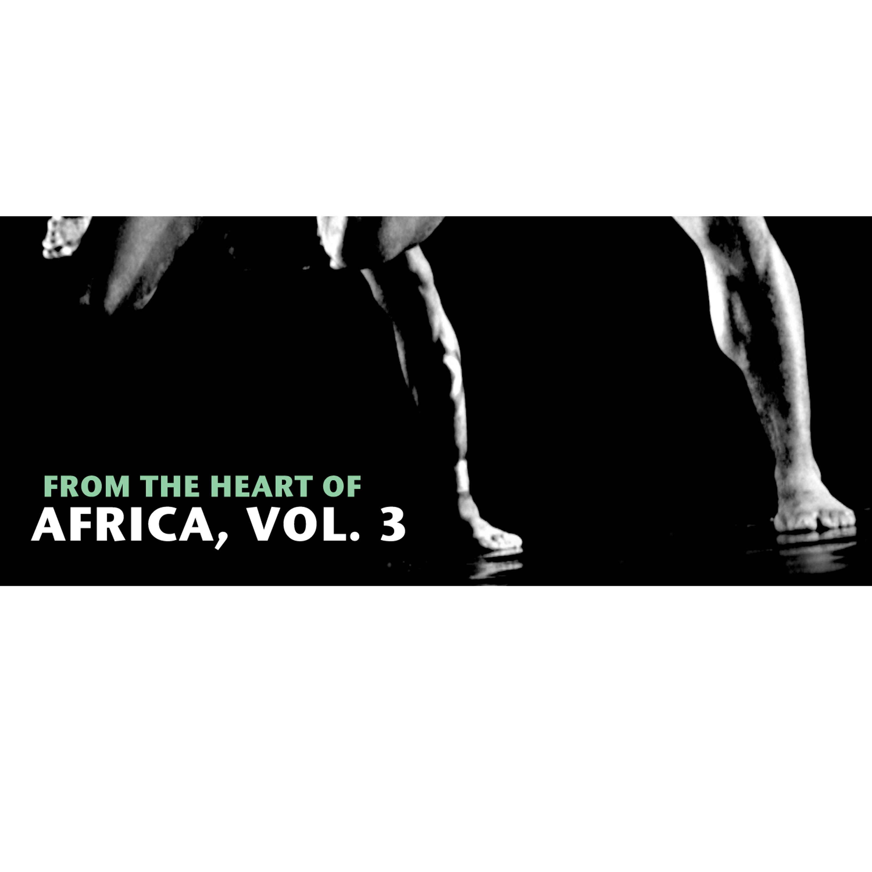 Постер альбома From The Heart Of Africa, Vol. 3